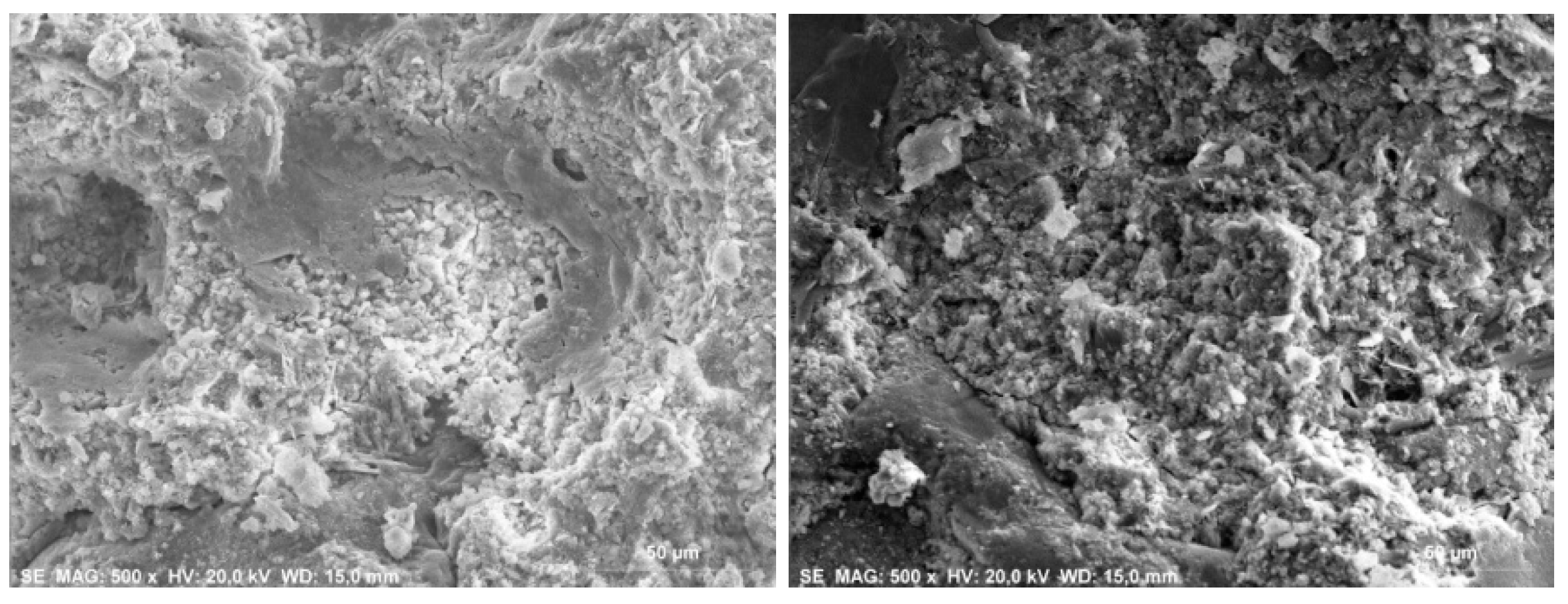 Sustainability 12 02835 g013 Sustainability 12 02835 g013