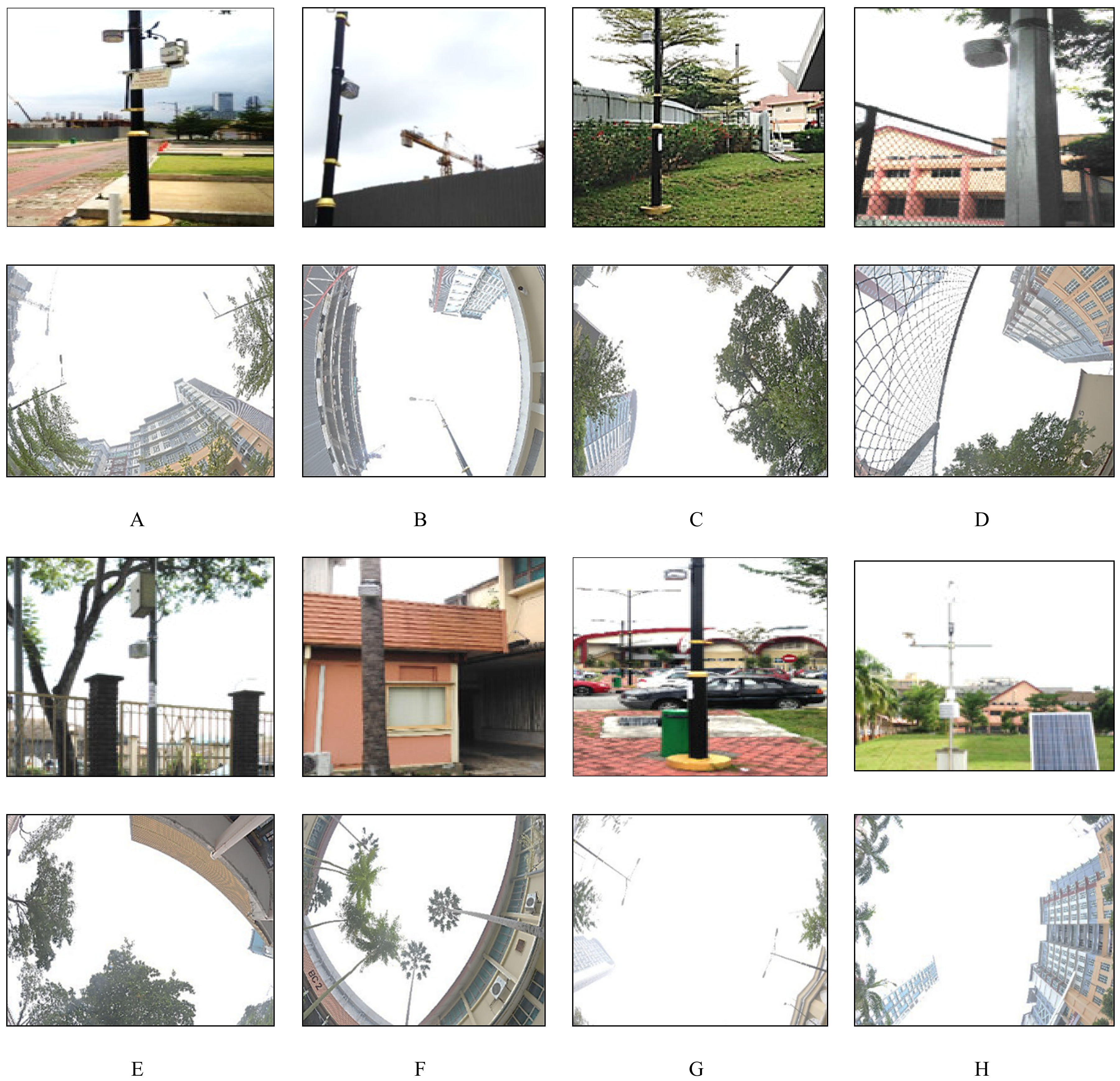 Sustainability 12 02962 g002