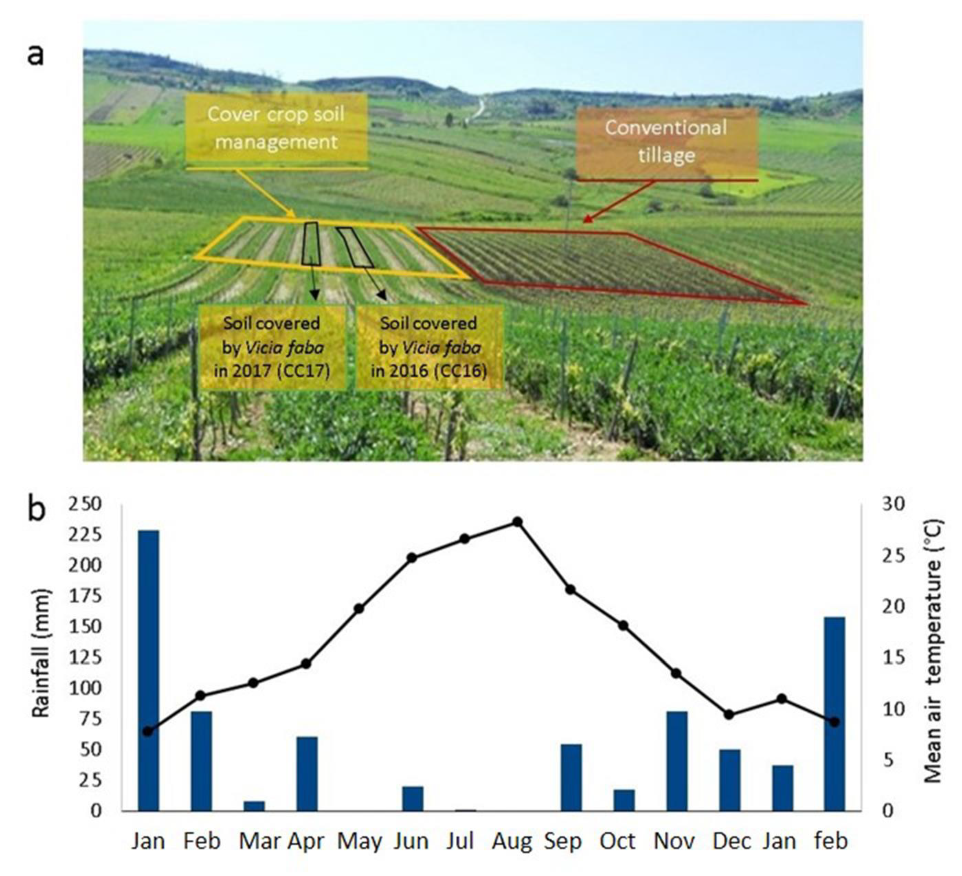 Sustainability 12 03256 g001