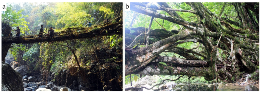 Sustainability 12 03267 g001