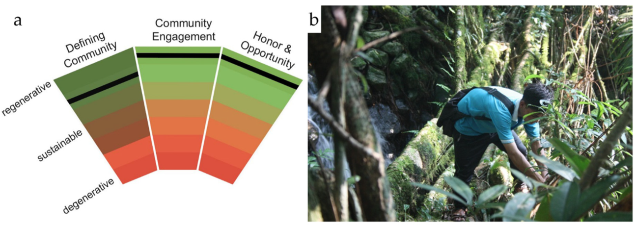 Sustainability 12 03267 g006