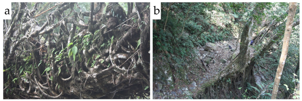 Sustainability 12 03267 g008