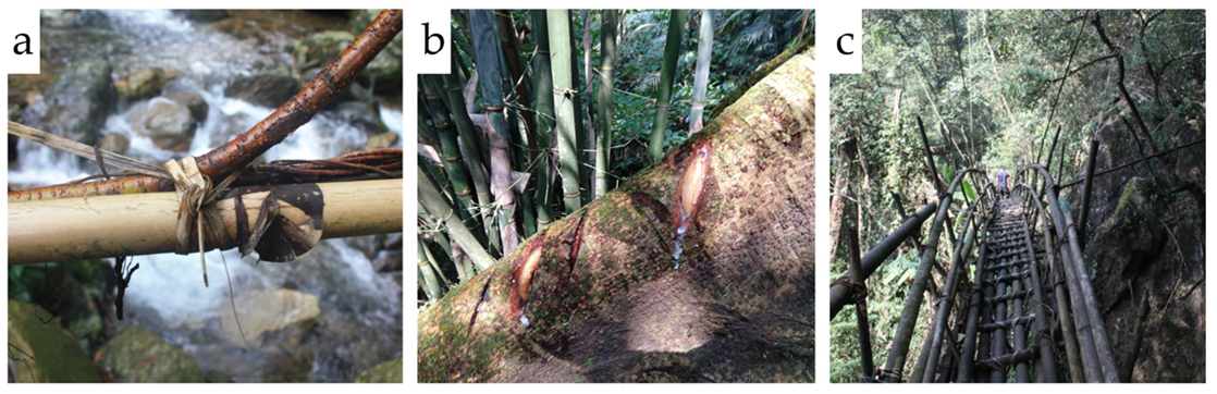 Sustainability 12 03267 g013