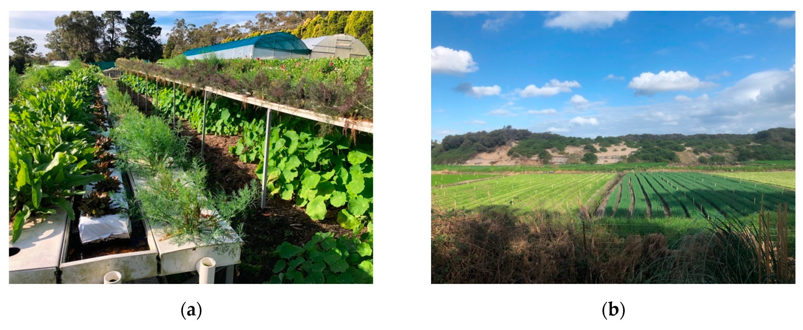 Sustainability 12 03346 g006a