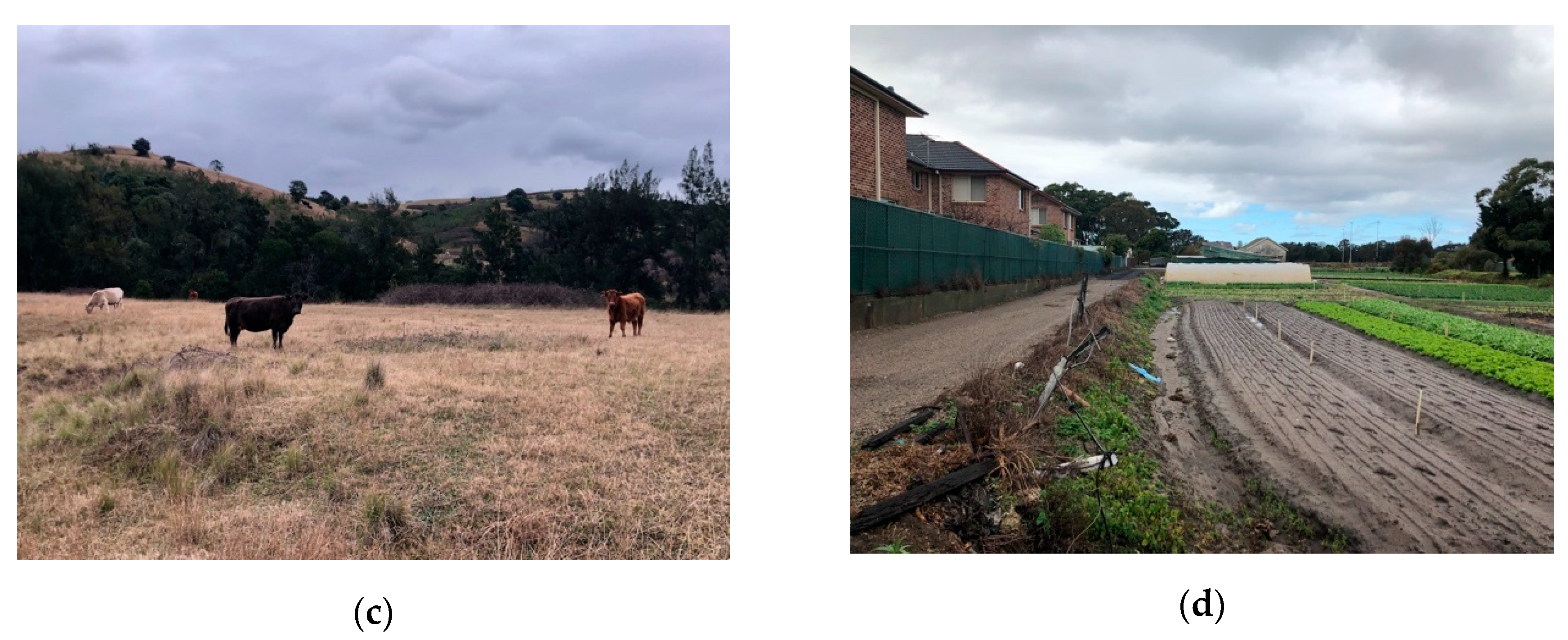 Sustainability 12 03346 g006b