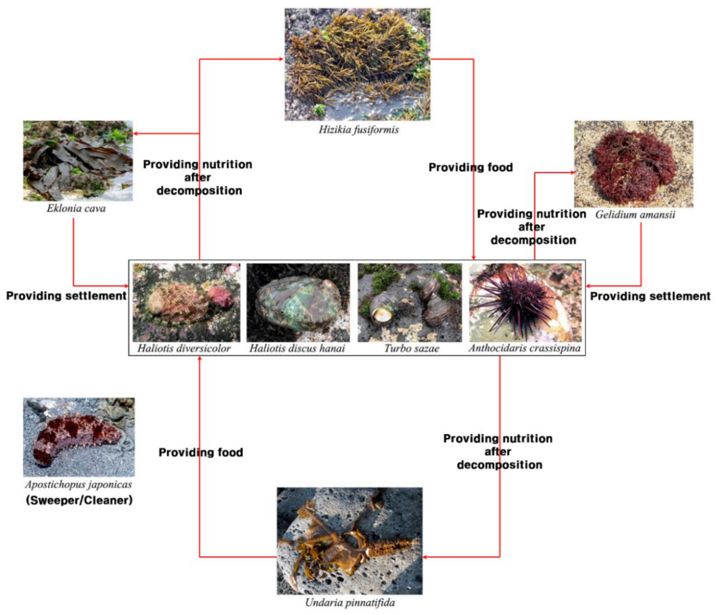 Sustainability 12 03512 g010