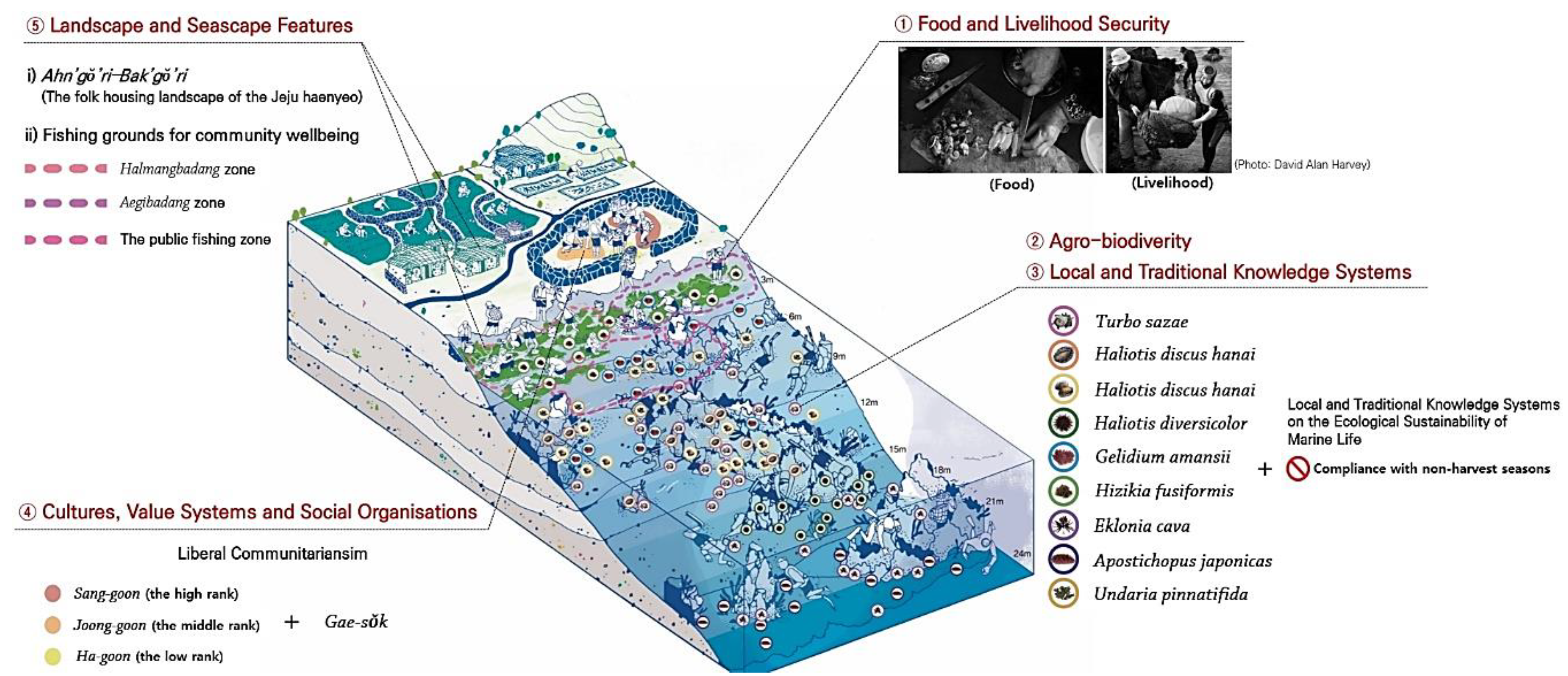 Sustainability 12 03512 g011