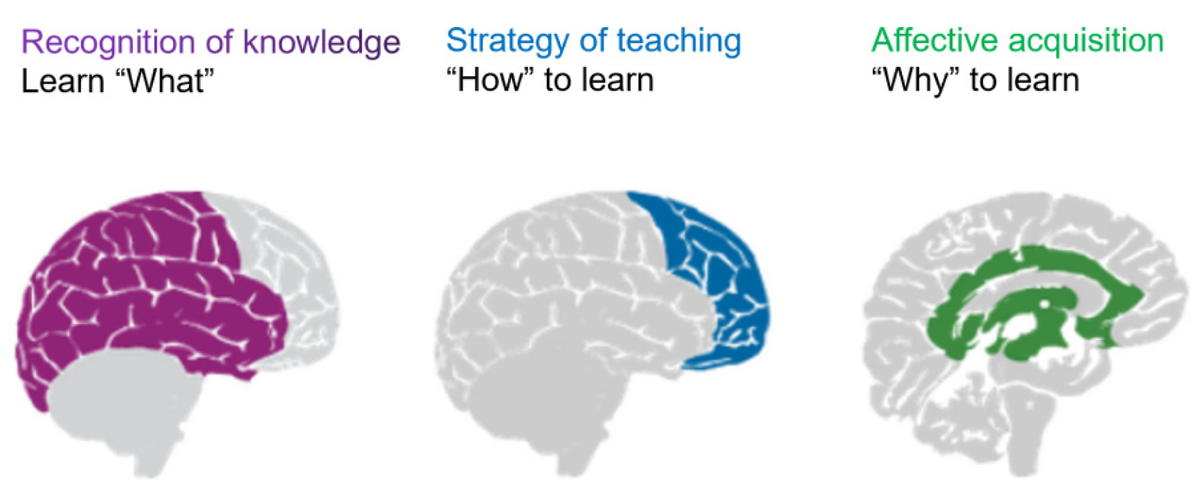 Sustainability 12 03522 g002