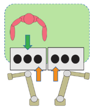 Sustainability 12 03606 i003