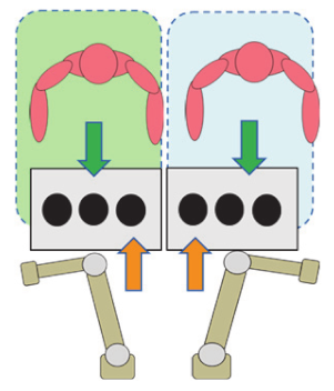 Sustainability 12 03606 i012