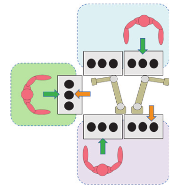 Sustainability 12 03606 i016