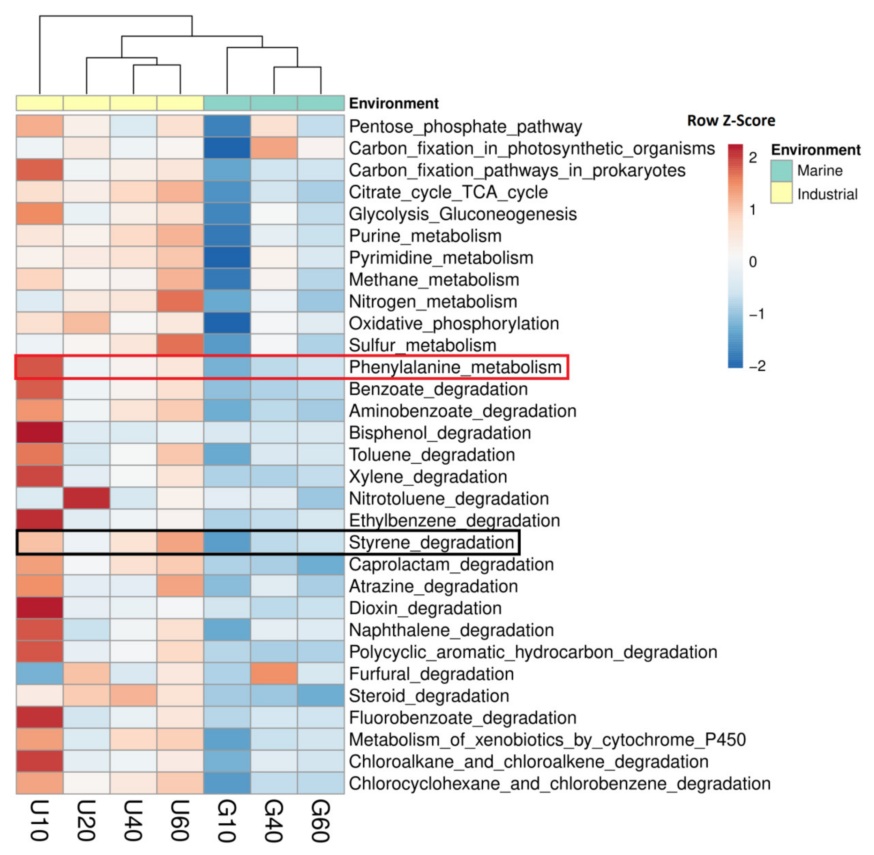 Sustainability 12 03624 g004