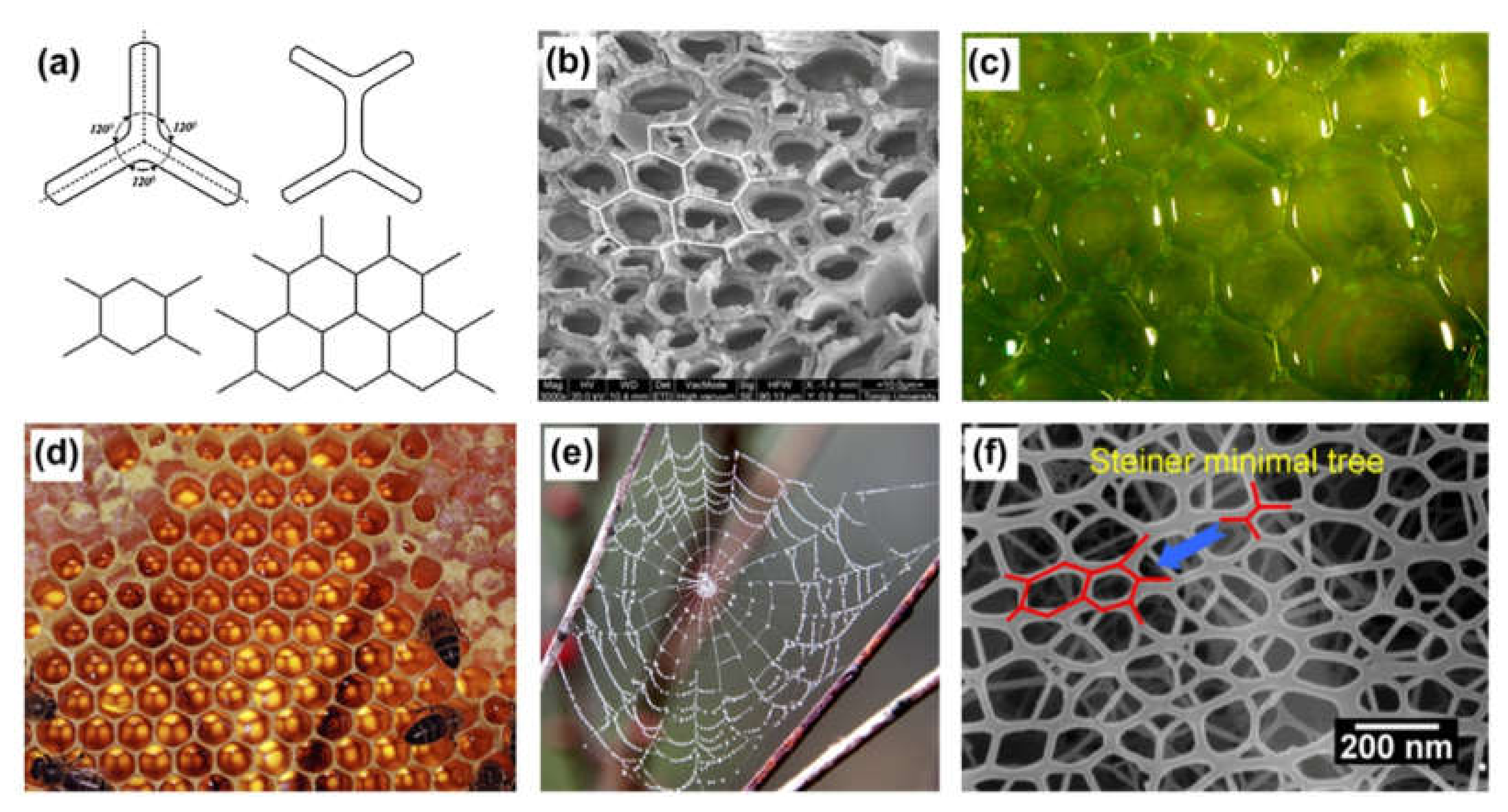 Sustainability 12 03625 g009