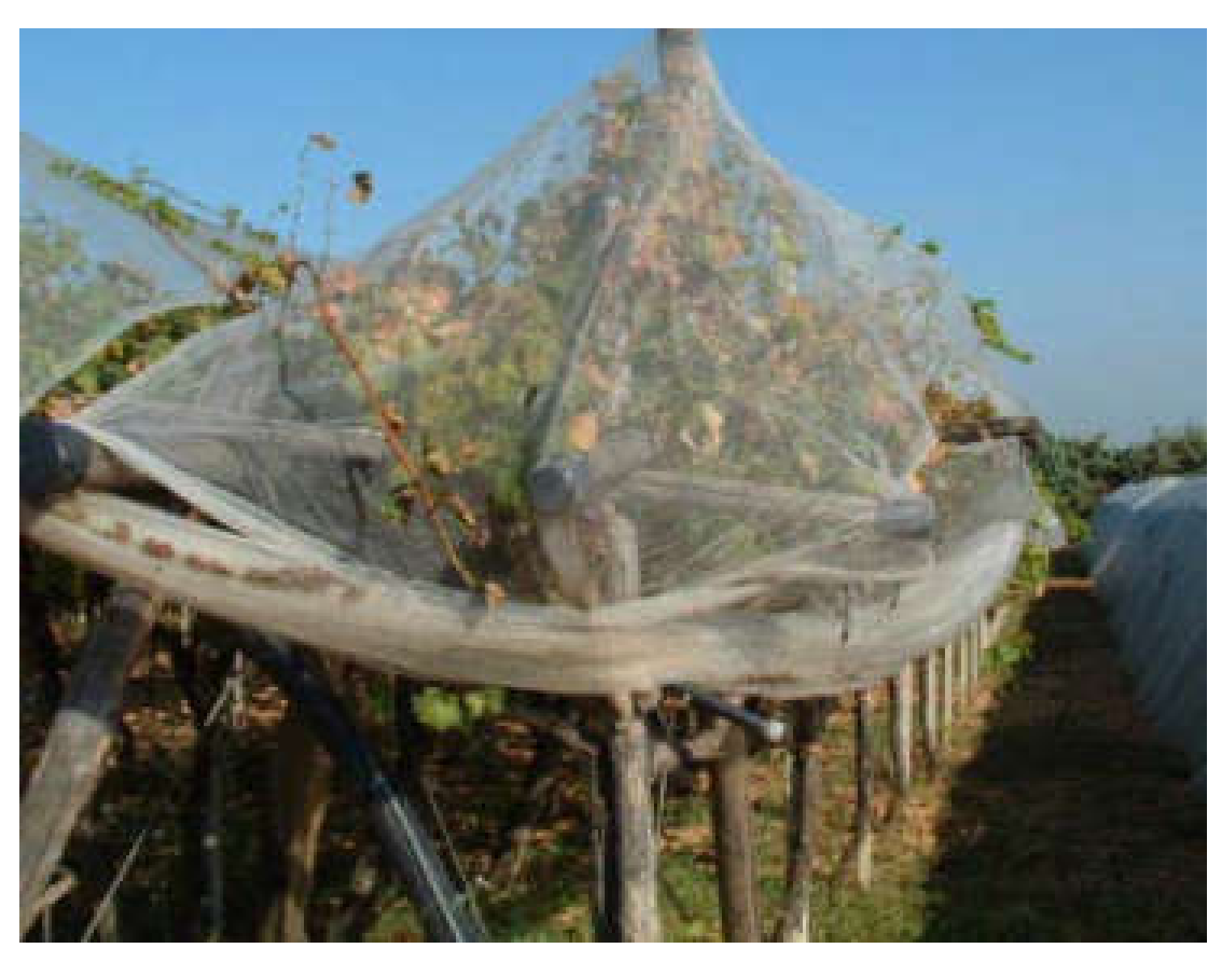 Sustainability 12 03625 g013