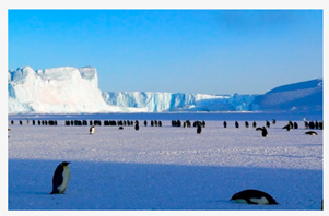 Sustainability 12 03695 i003 Sustainability 12 03695 i003