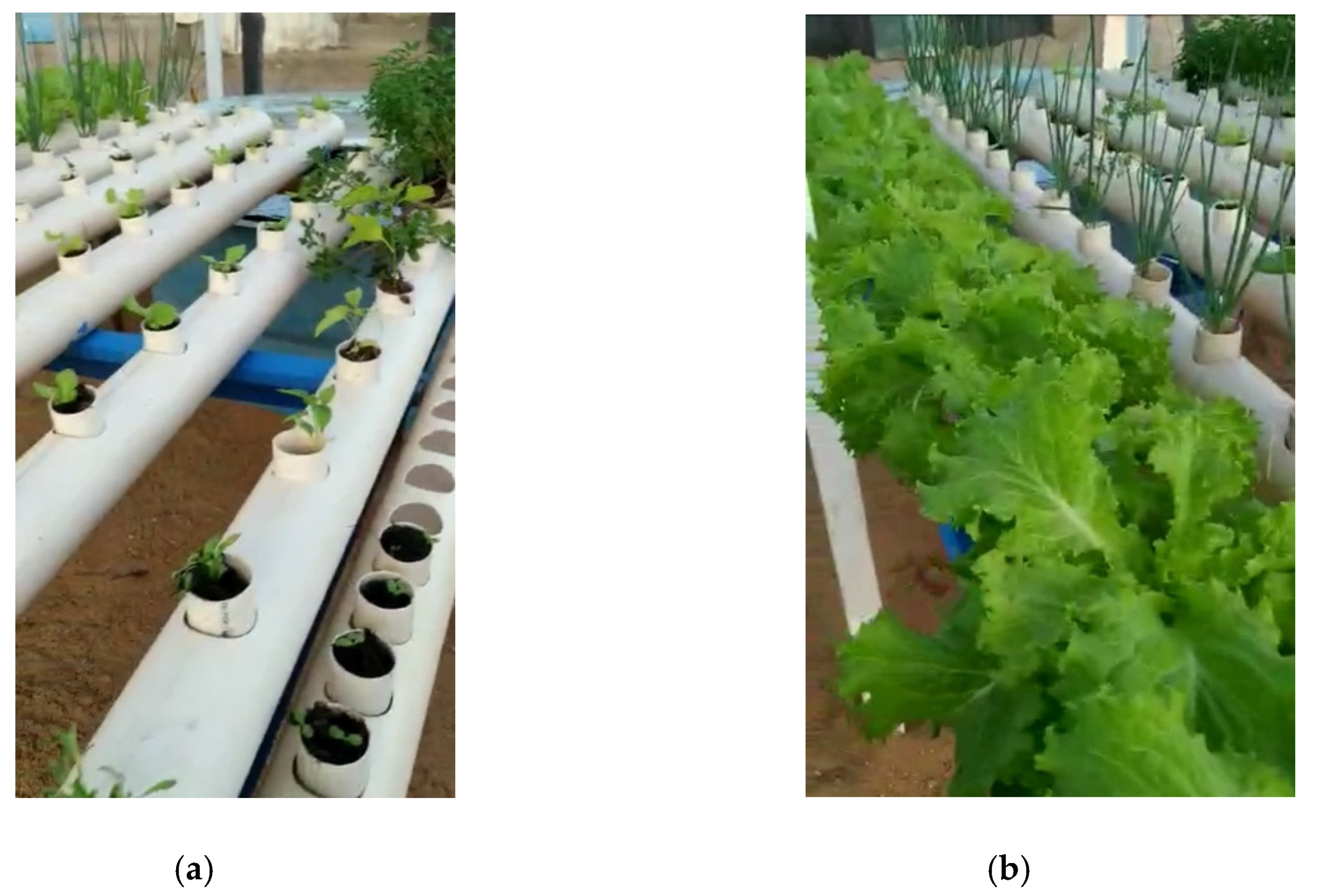 Sustainability 12 03734 g003