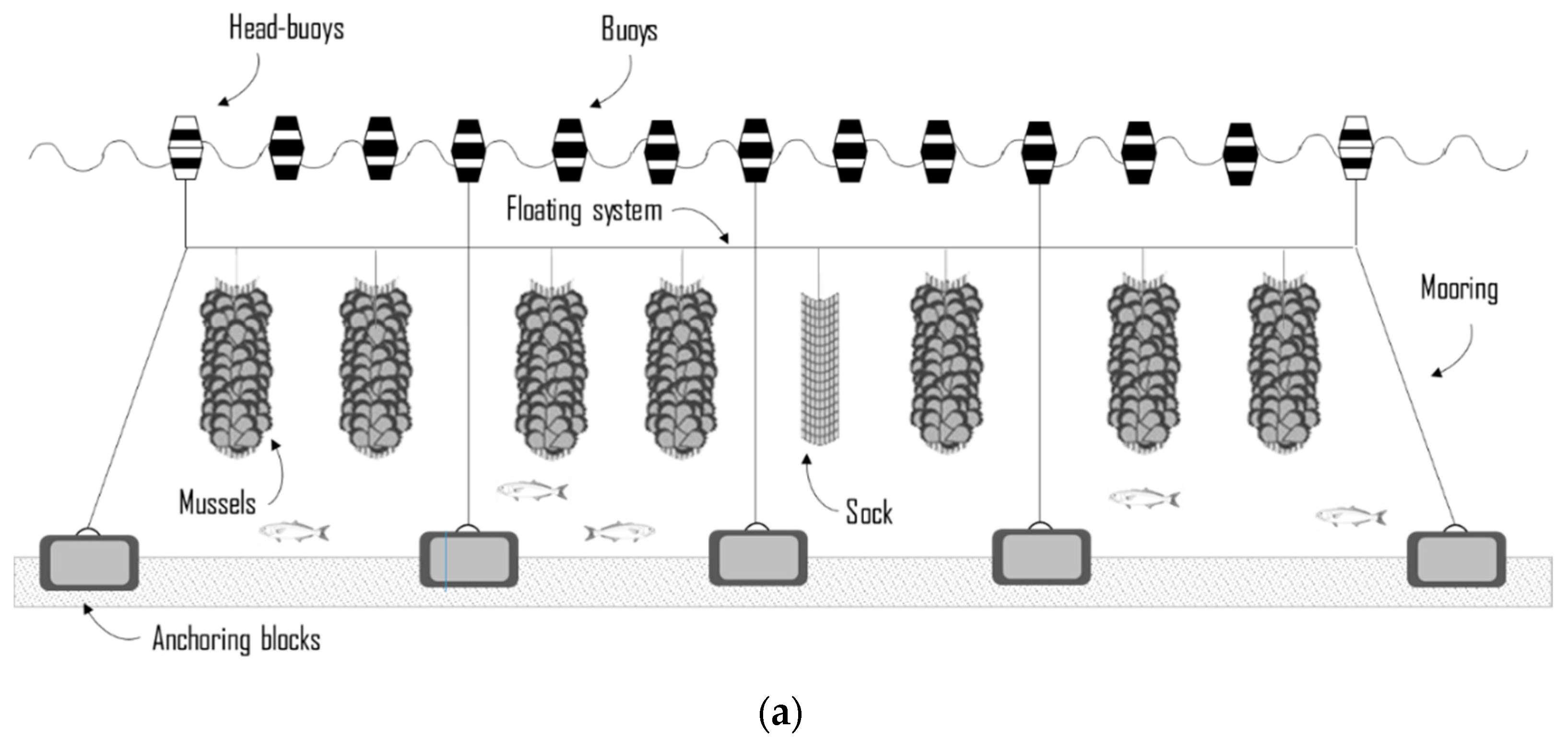 Sustainability 12 03814 g002a