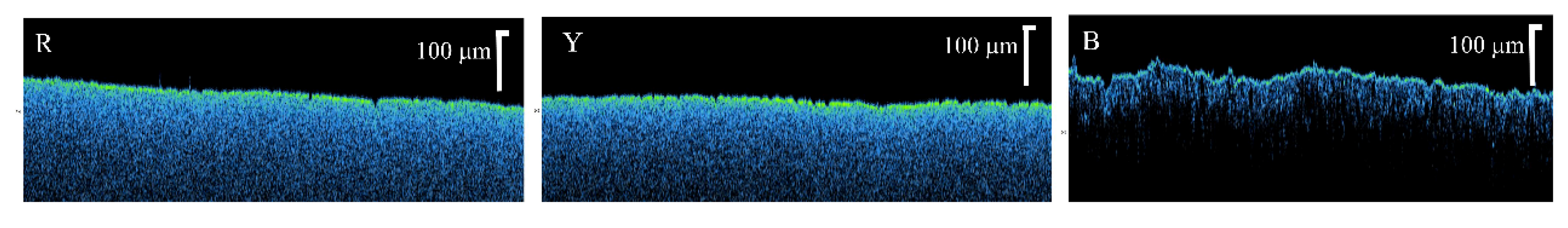 Sustainability 12 03831 g005