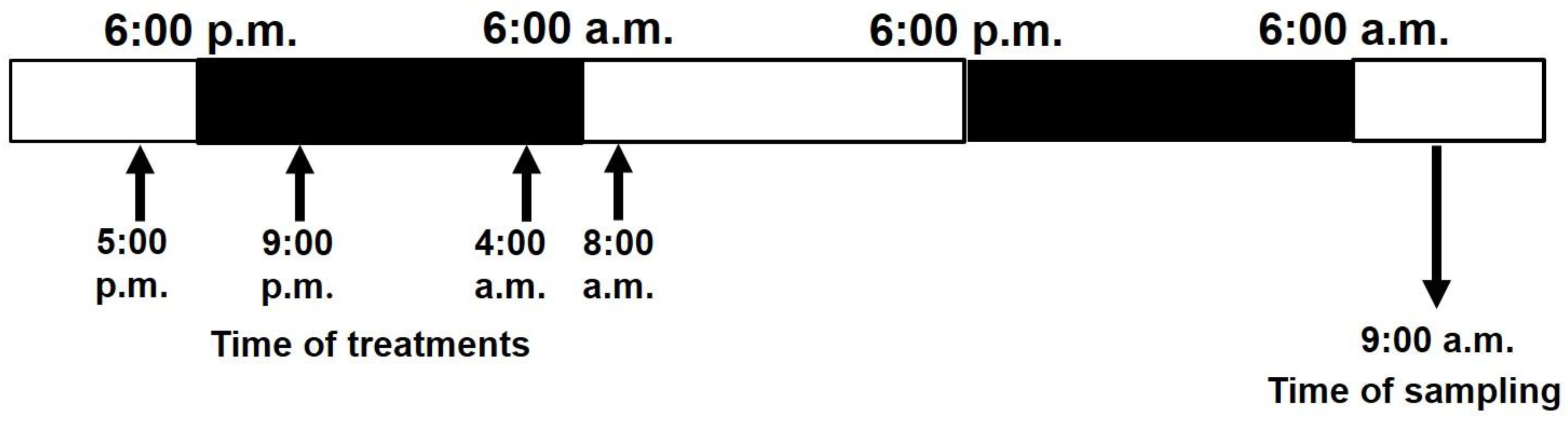 Sustainability 12 03872 g001