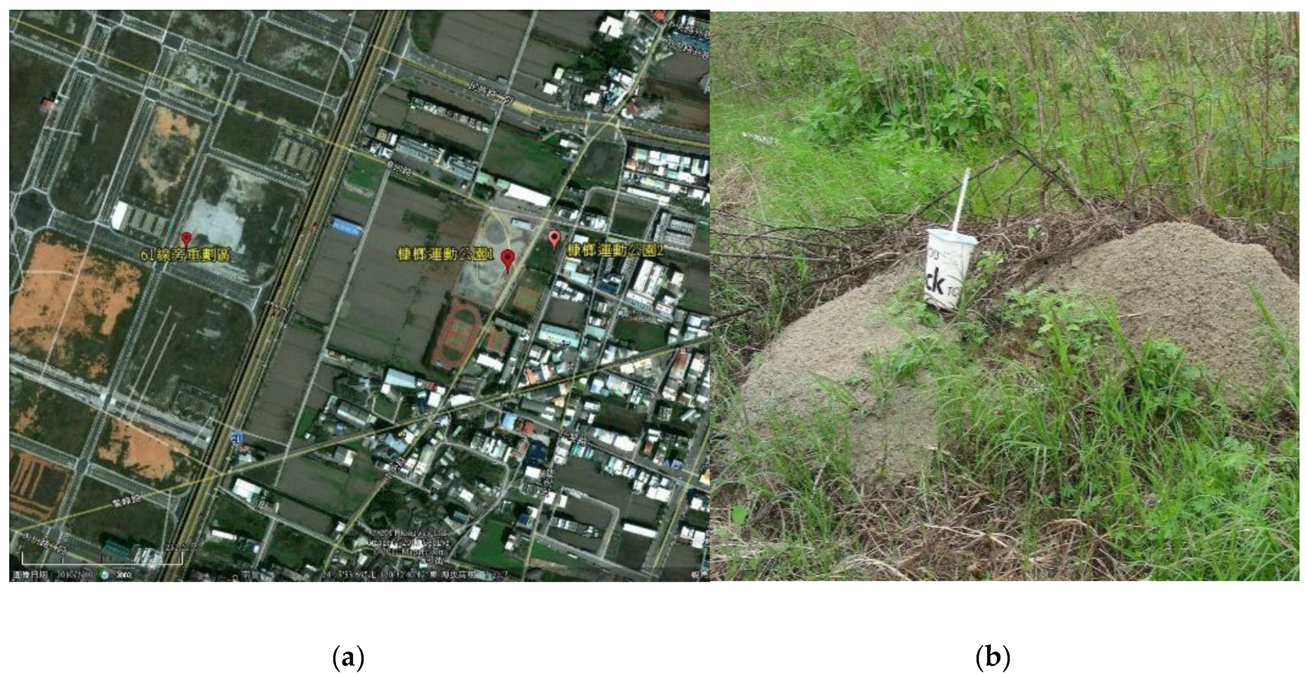 Sustainability 12 03951 g004