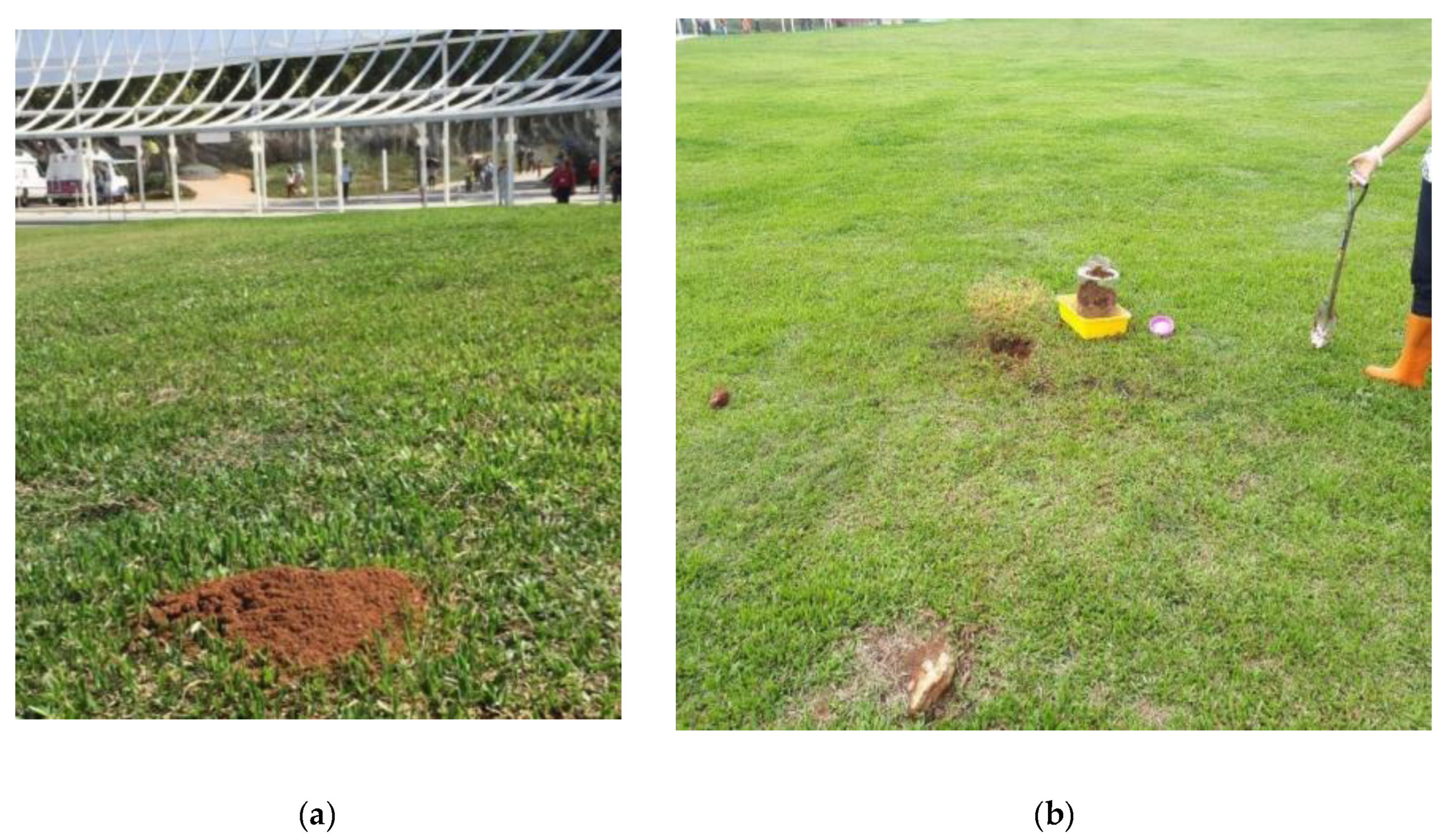 Sustainability 12 03951 g005