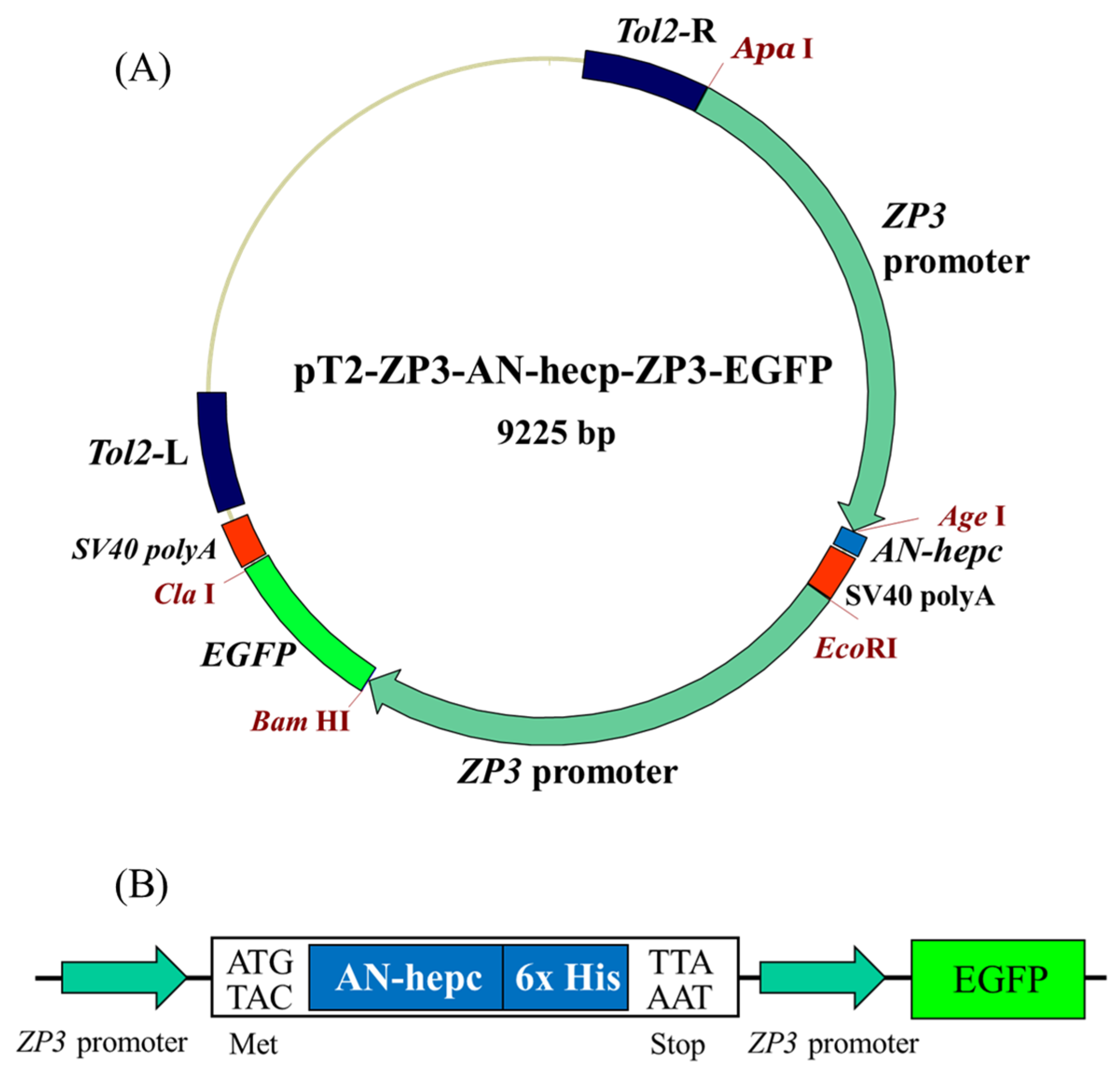 Sustainability 12 04057 g001