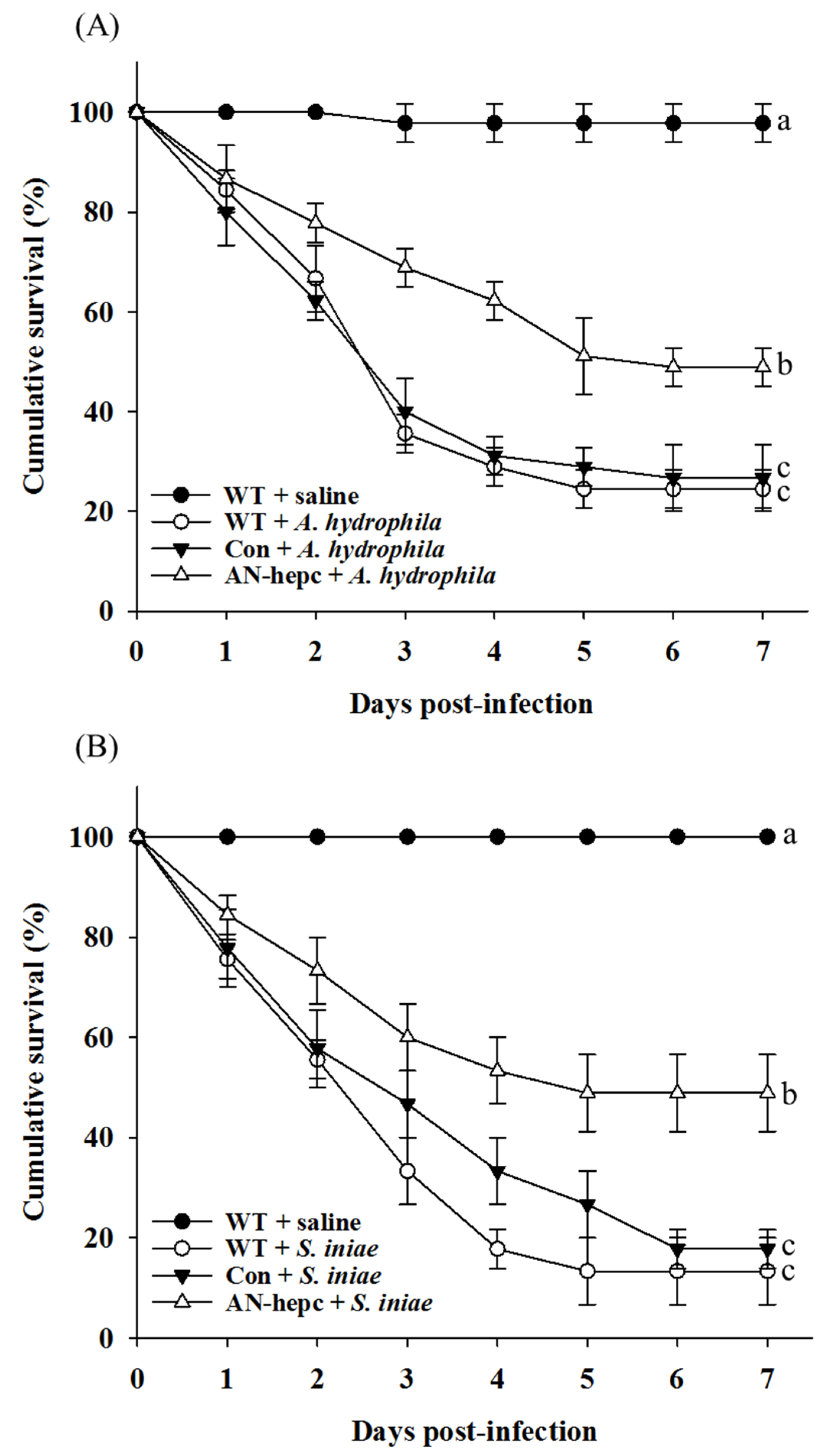 Sustainability 12 04057 g005