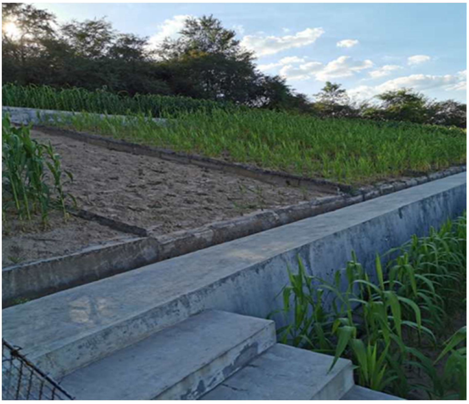 Sustainability 12 04125 g002 Sustainability 12 04125 g002