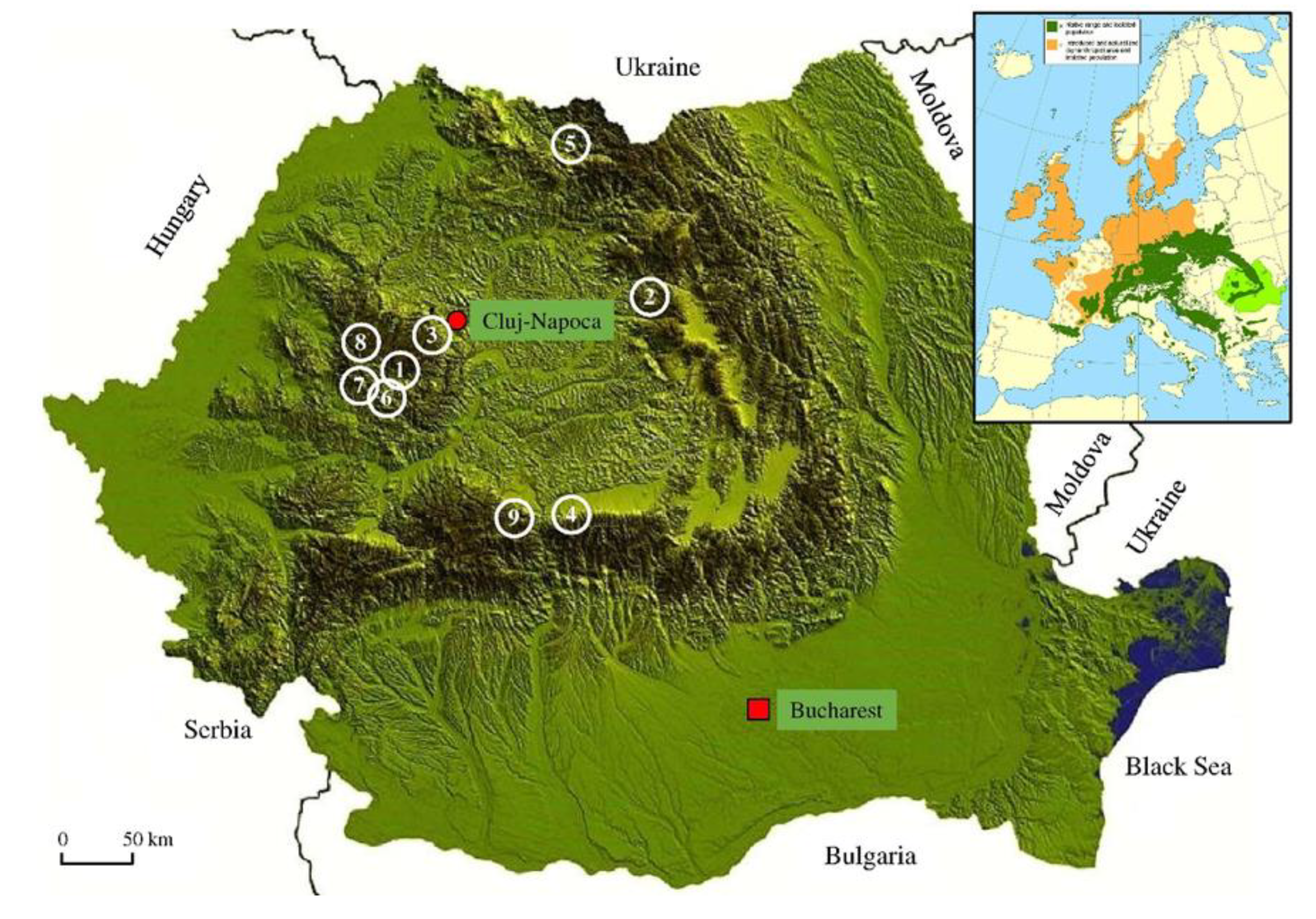 Sustainability 12 04199 g001 Sustainability 12 04199 g001