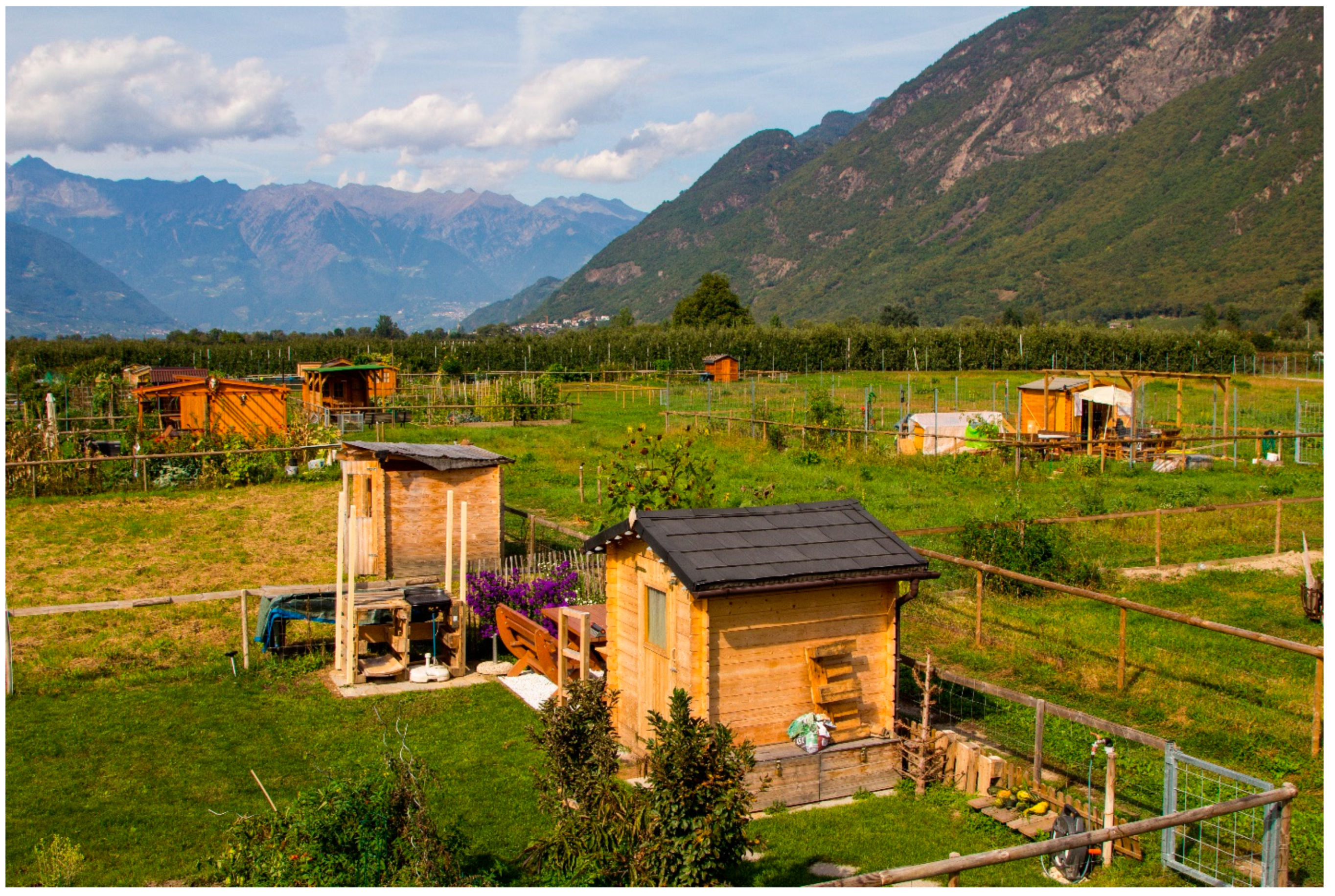 Sustainability 12 04304 g006