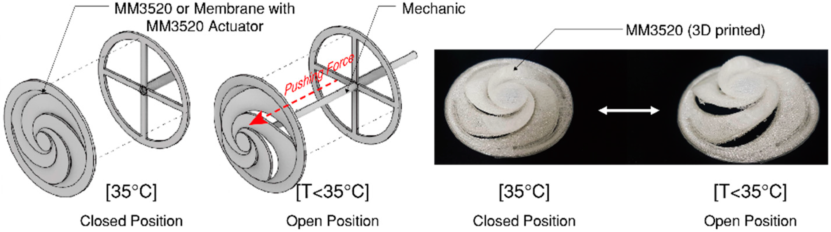 Sustainability 12 04391 g002