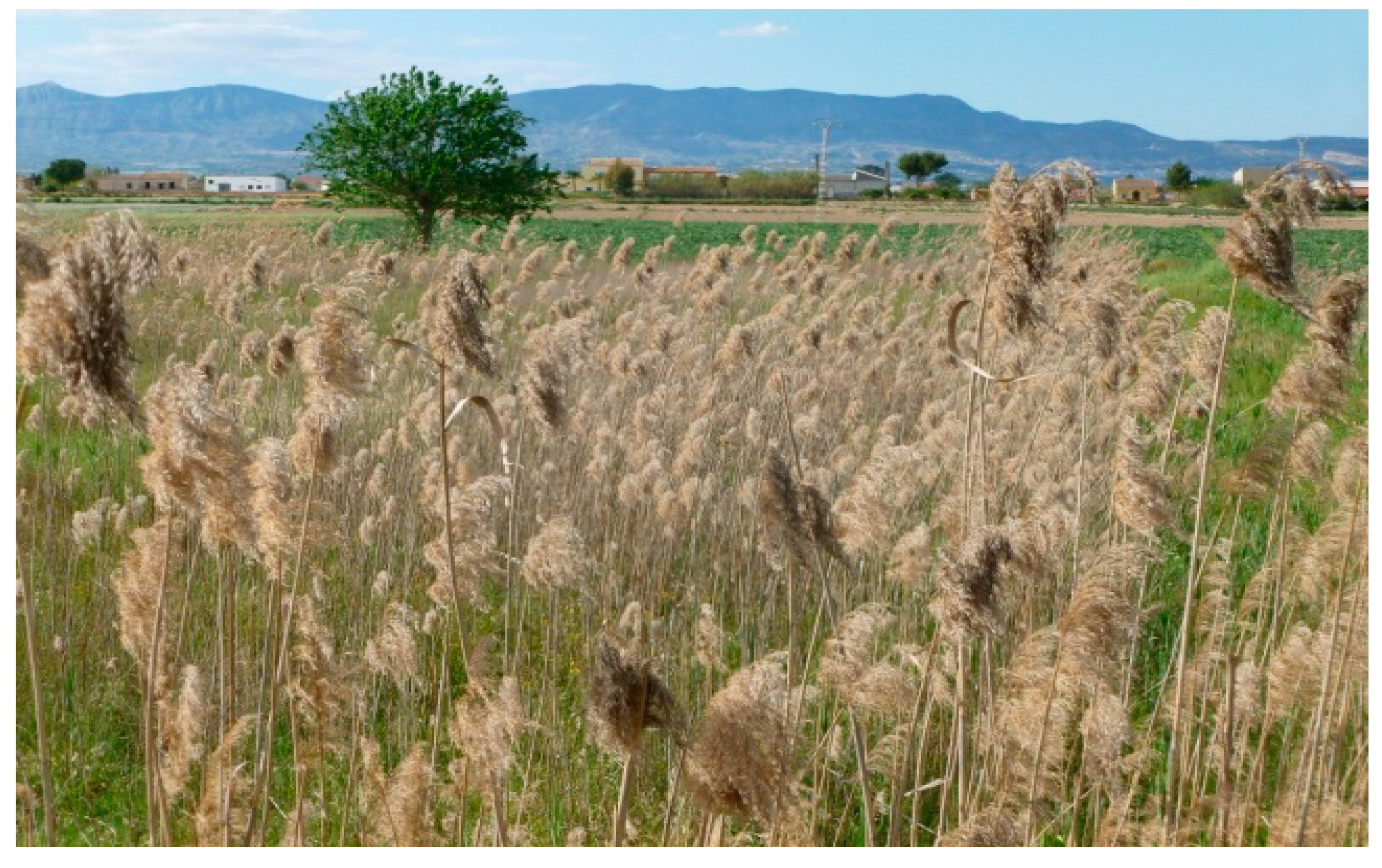 Sustainability 12 04446 g001