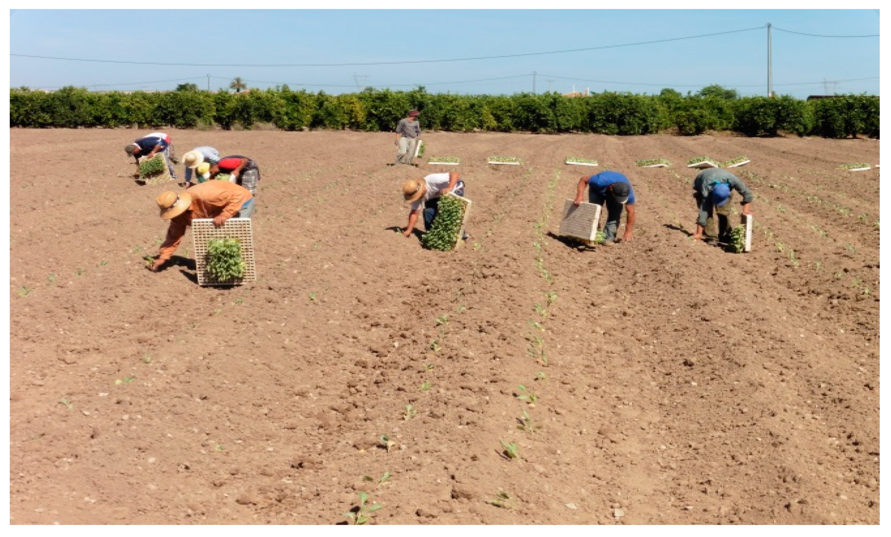 Sustainability 12 04446 g008