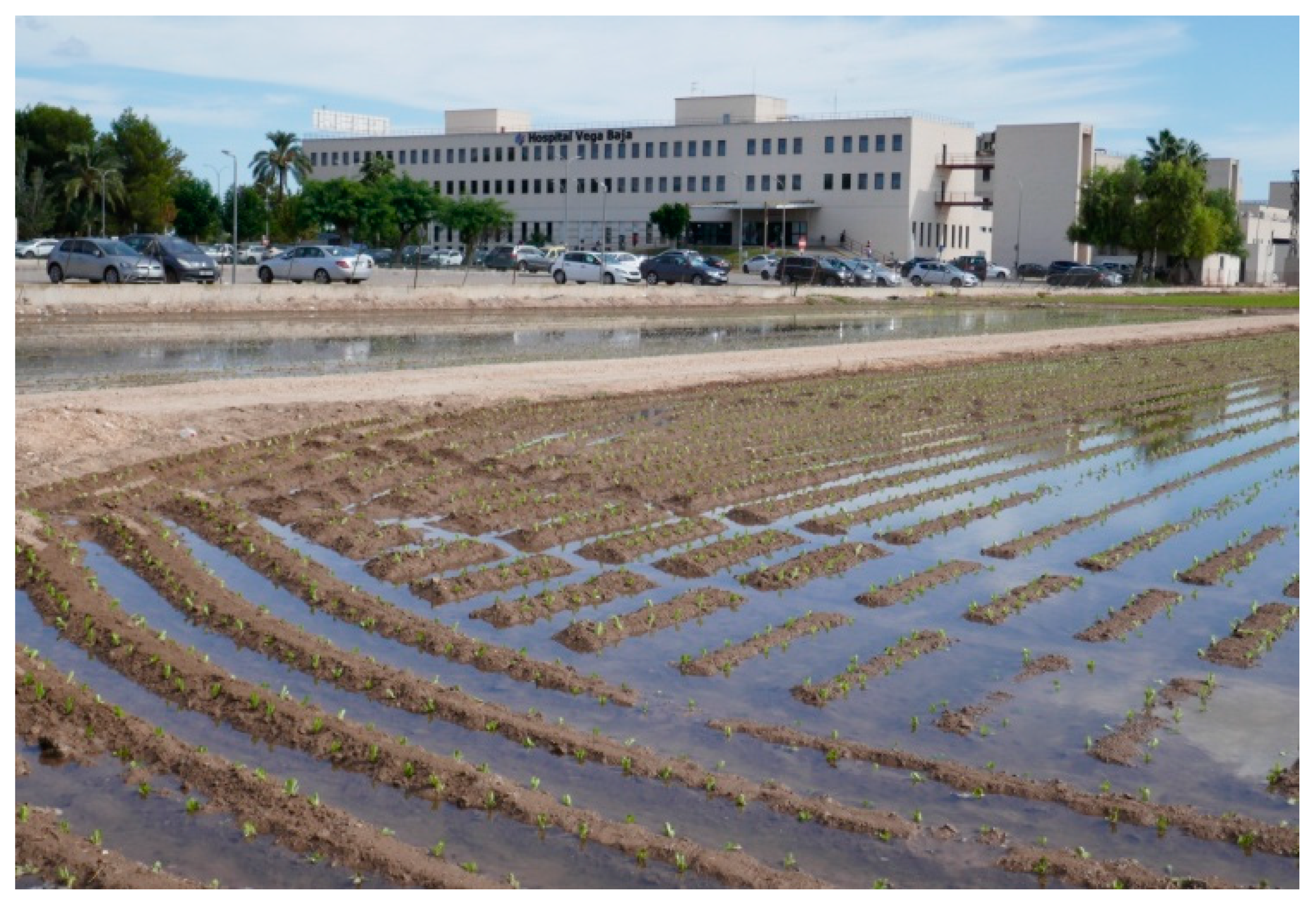 Sustainability 12 04446 g009