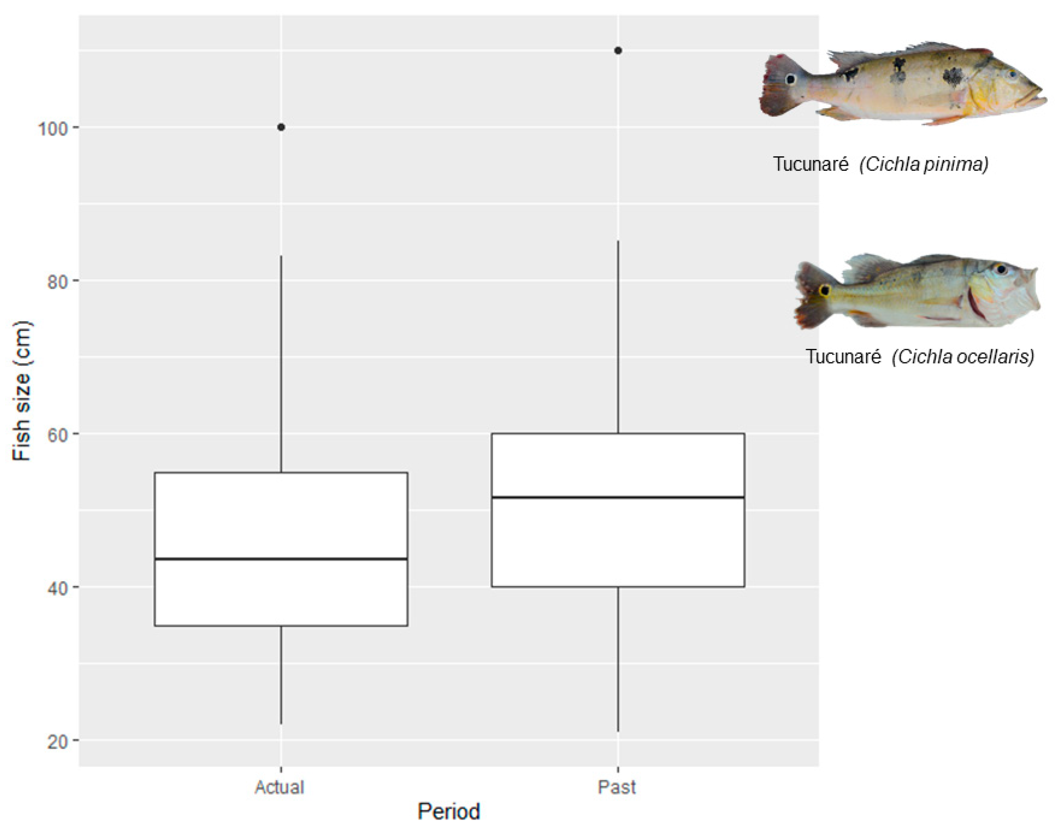 Sustainability 12 04487 g003 Sustainability 12 04487 g003