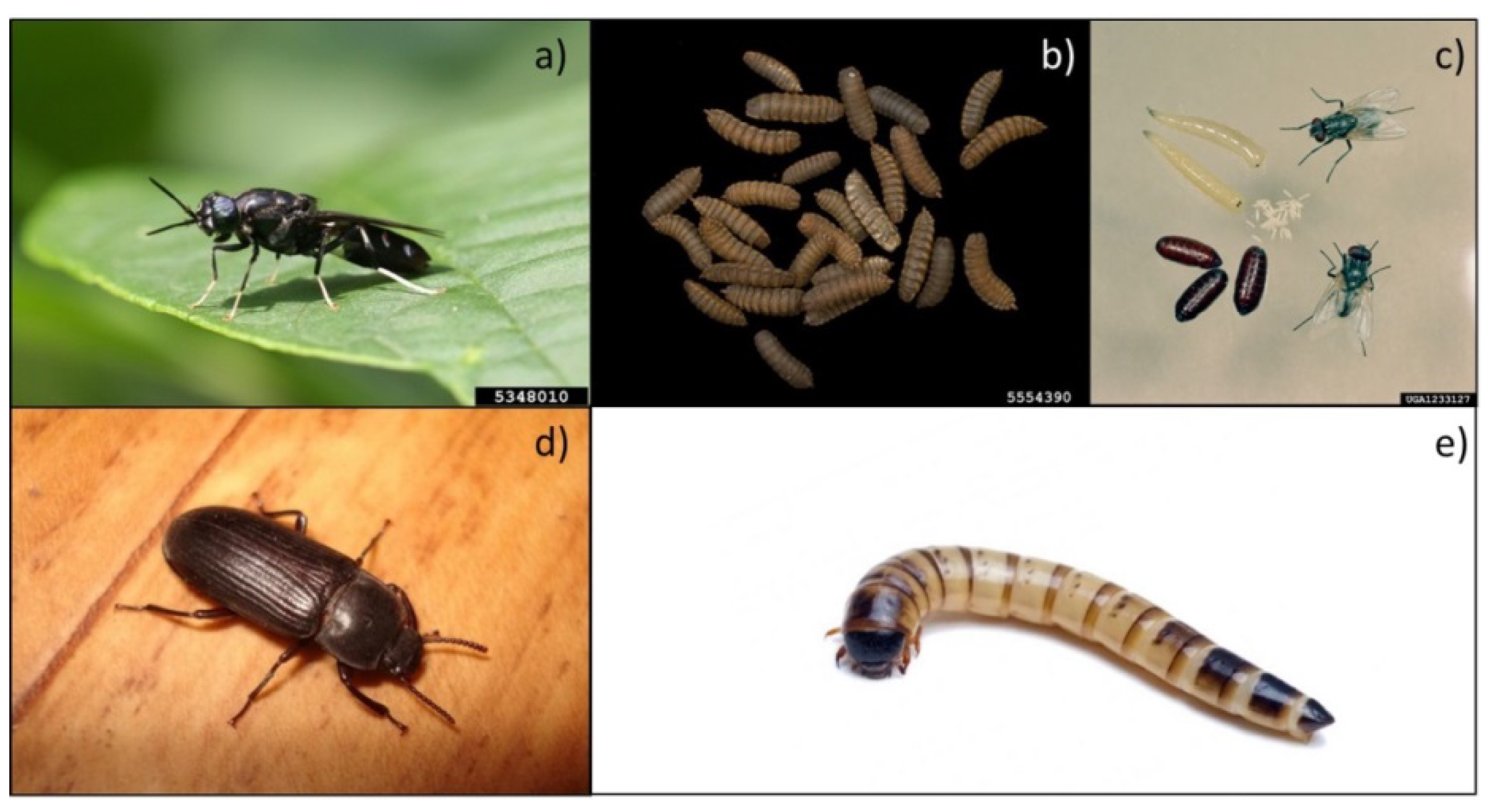 Sustainability 12 04567 g002