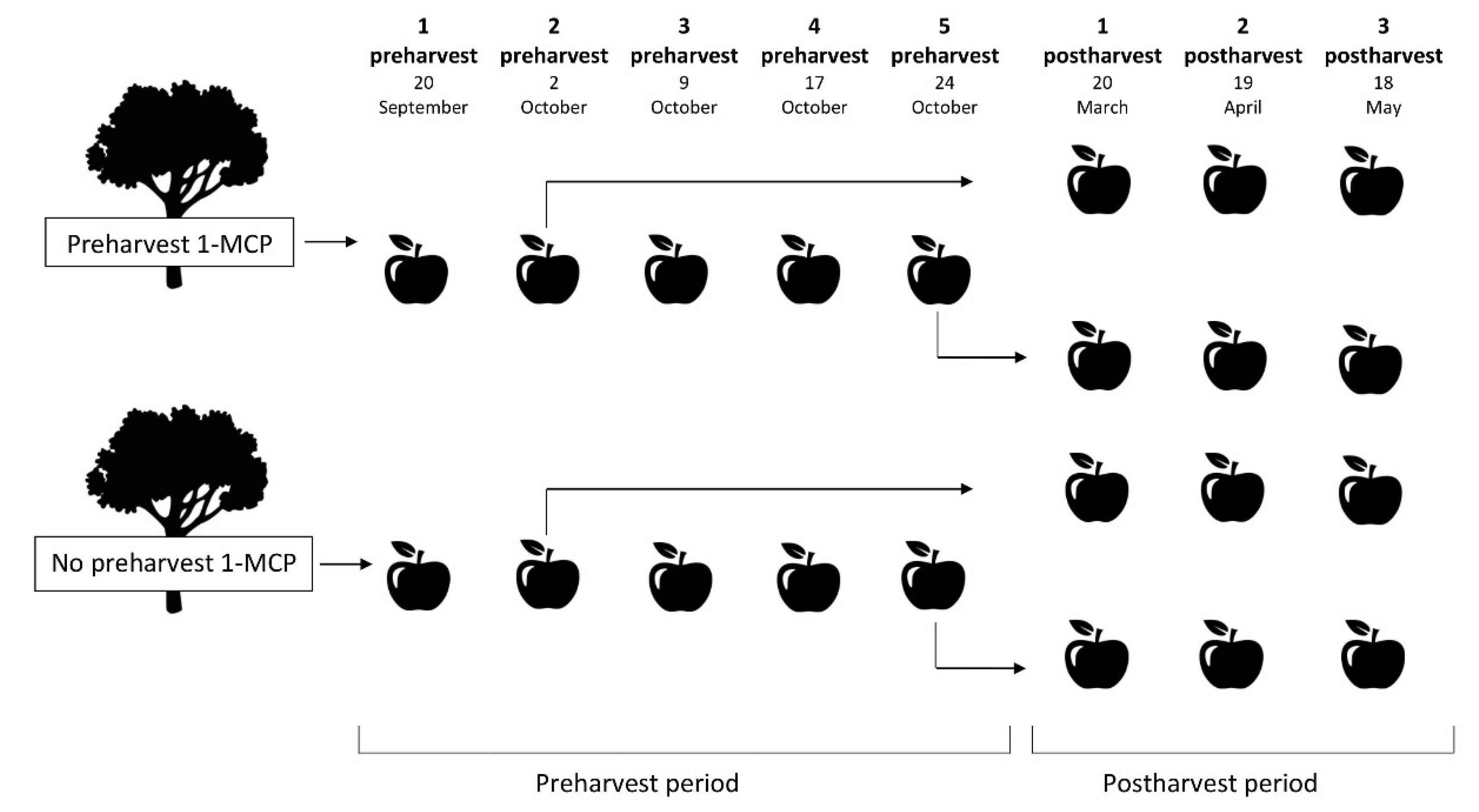 Sustainability 12 04575 g001