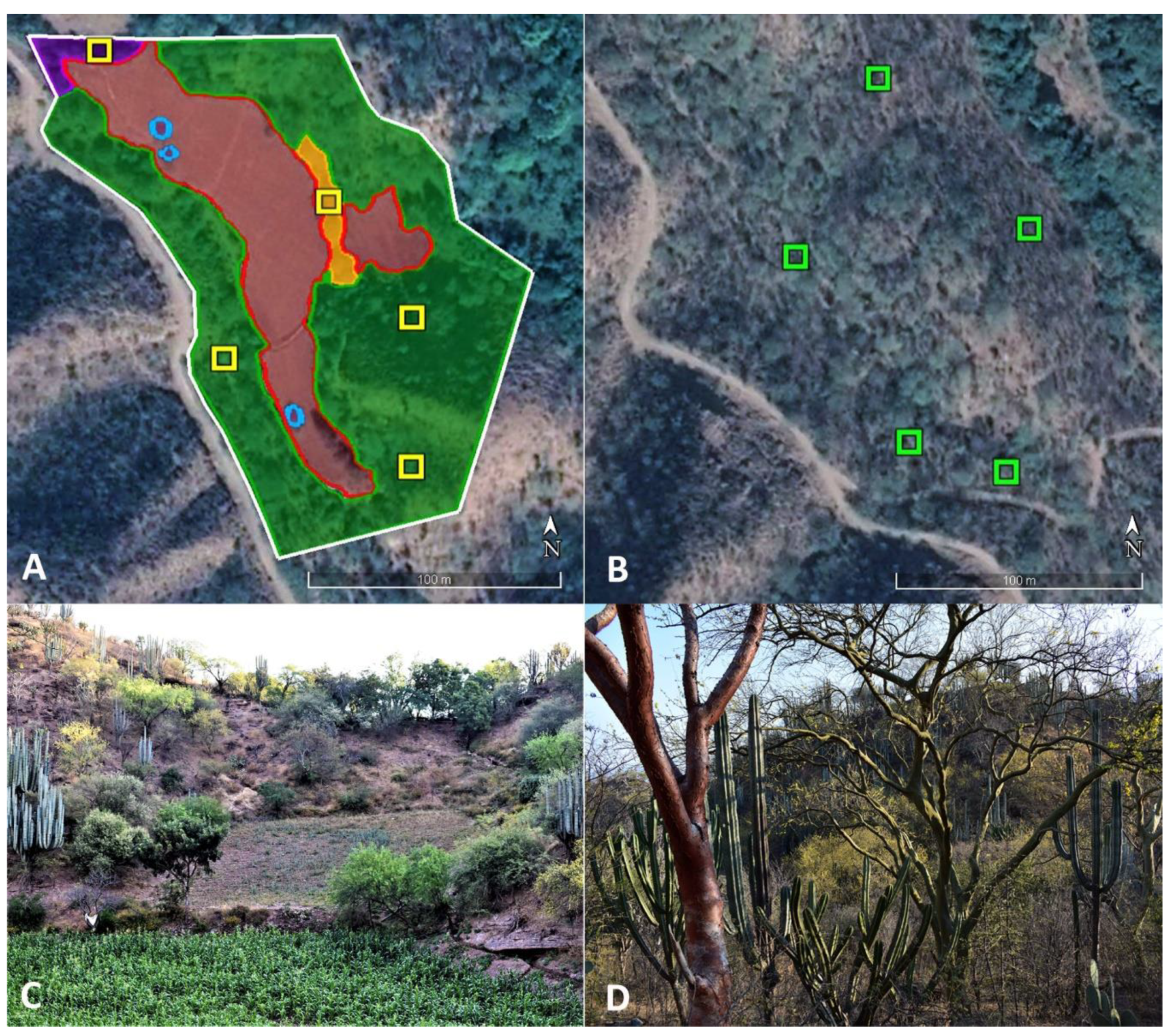 Sustainability 12 04600 g001