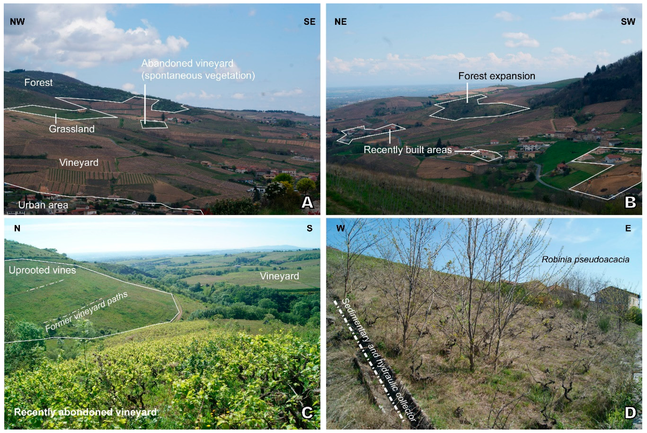 Sustainability 12 04695 g004