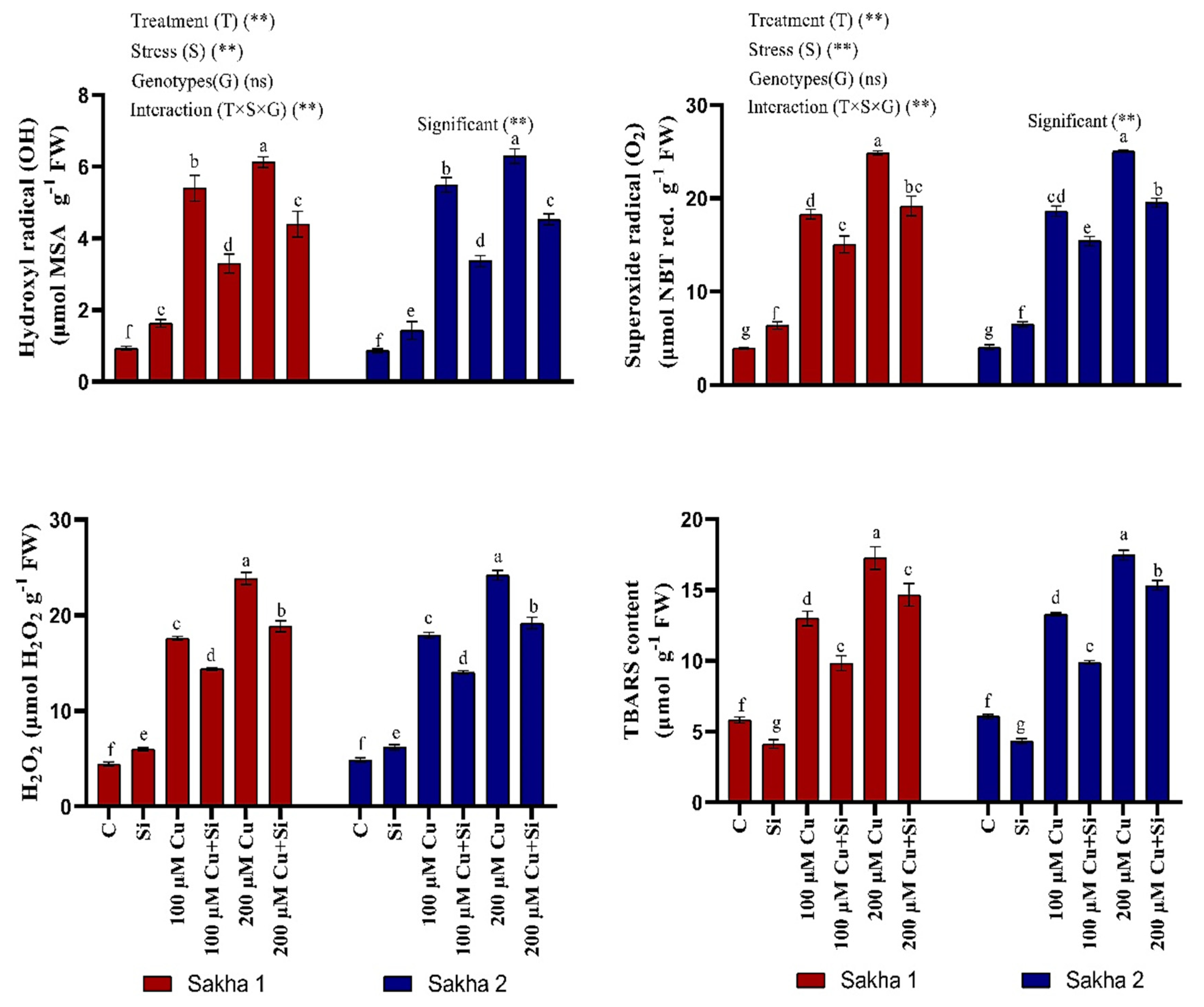 Sustainability 12 04732 g003