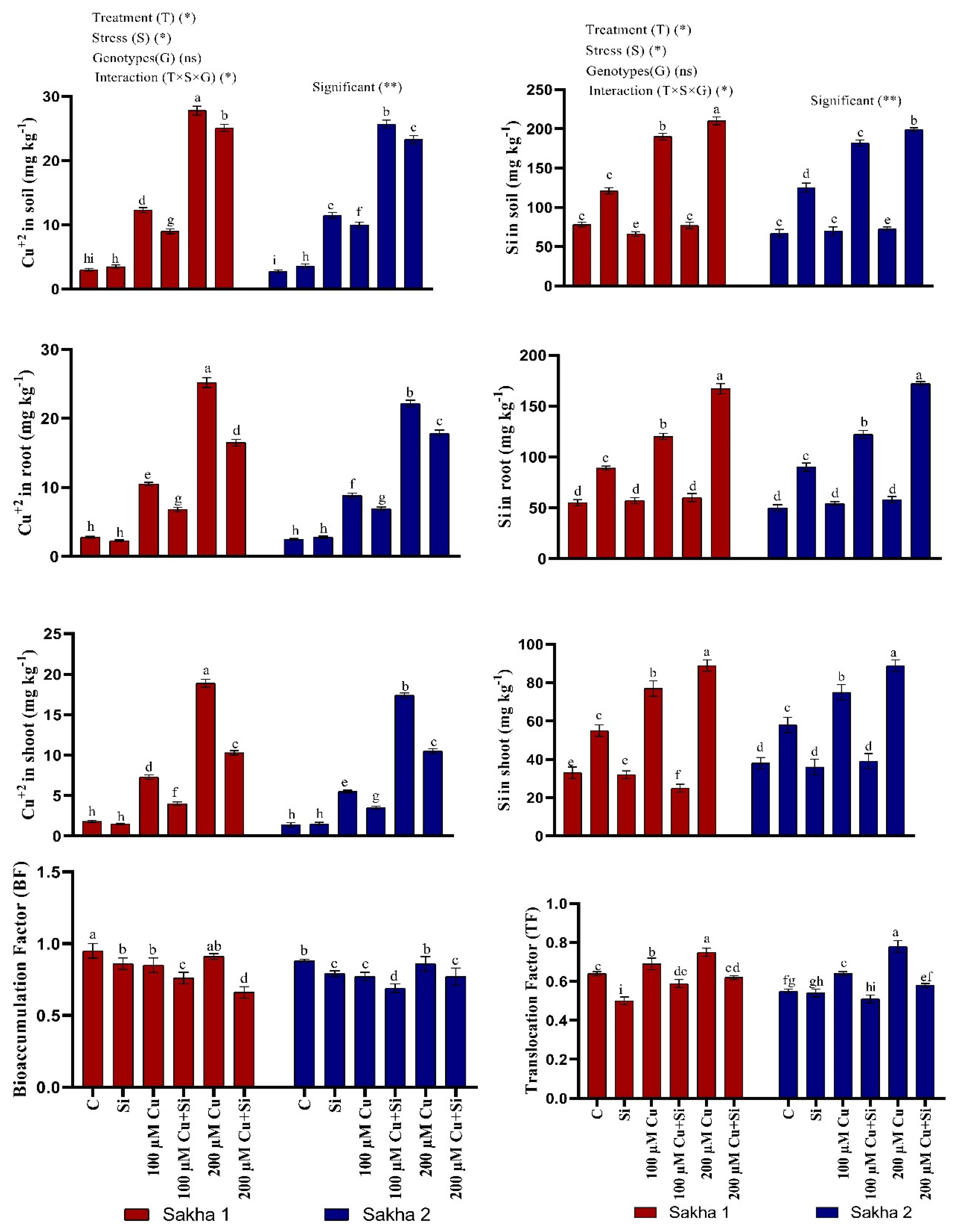 Sustainability 12 04732 g004
