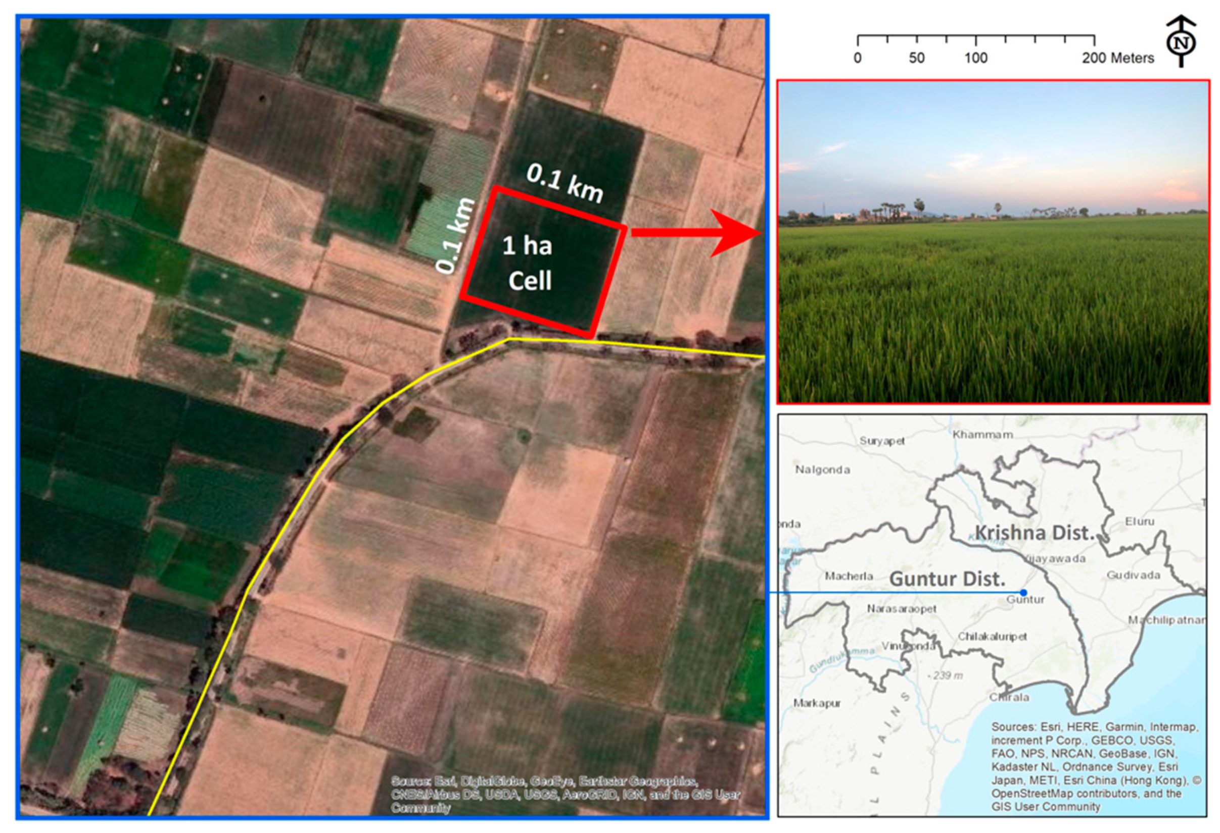 Sustainability 12 04771 g005