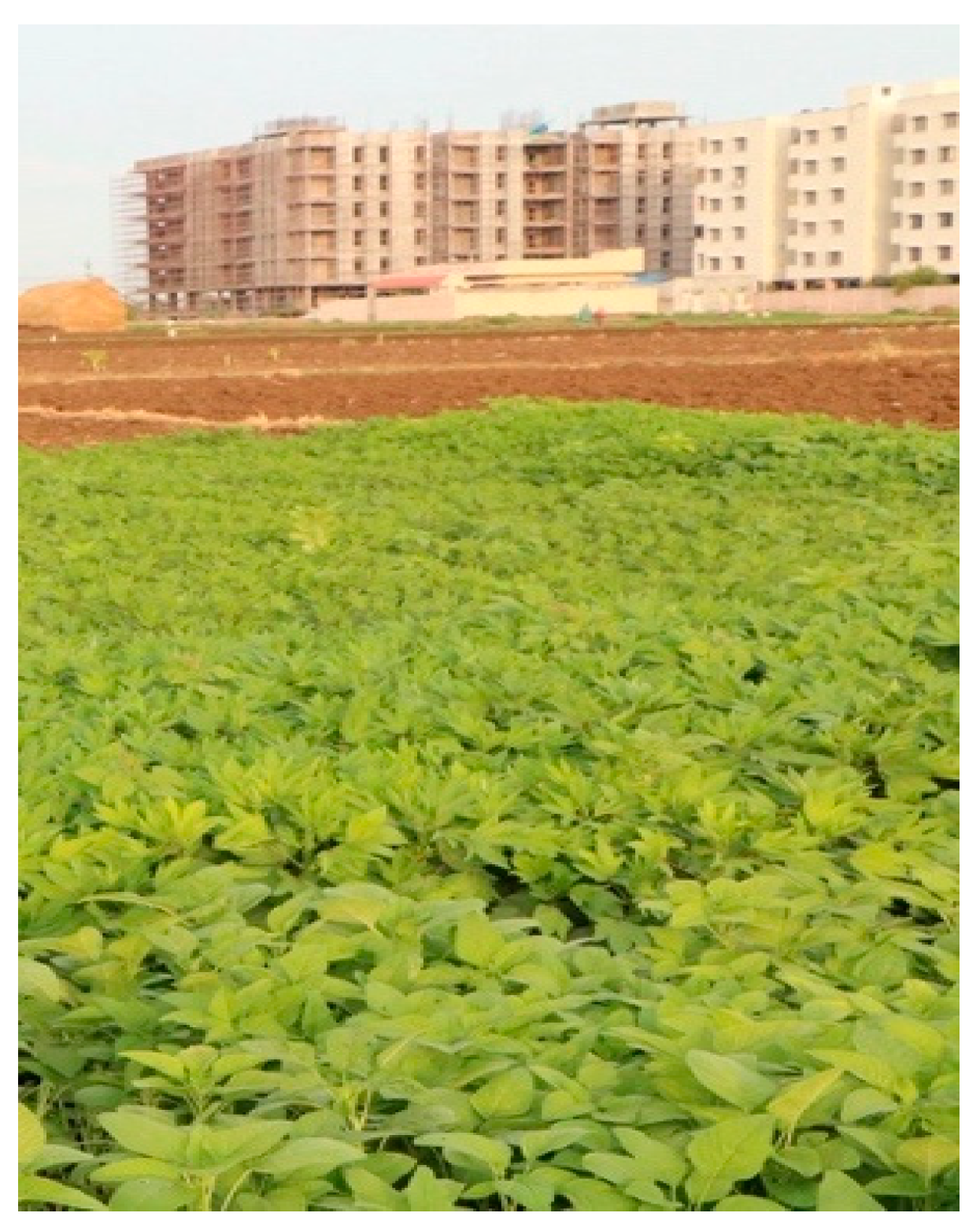 Sustainability 12 04771 g016