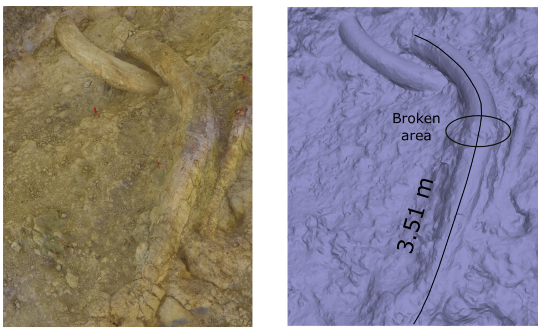 Sustainability 12 04785 g014