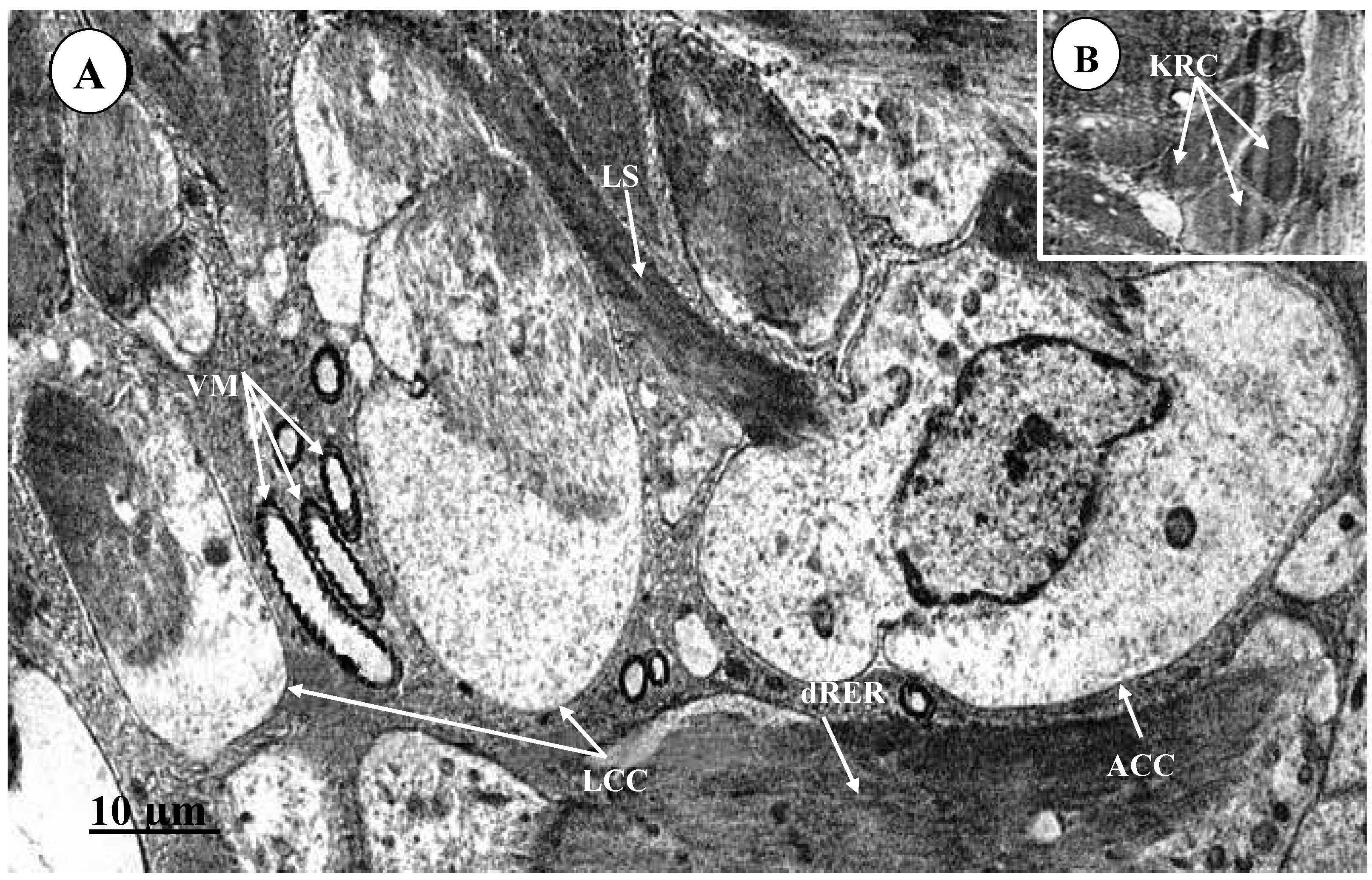Sustainability 12 04805 g004 Sustainability 12 04805 g004