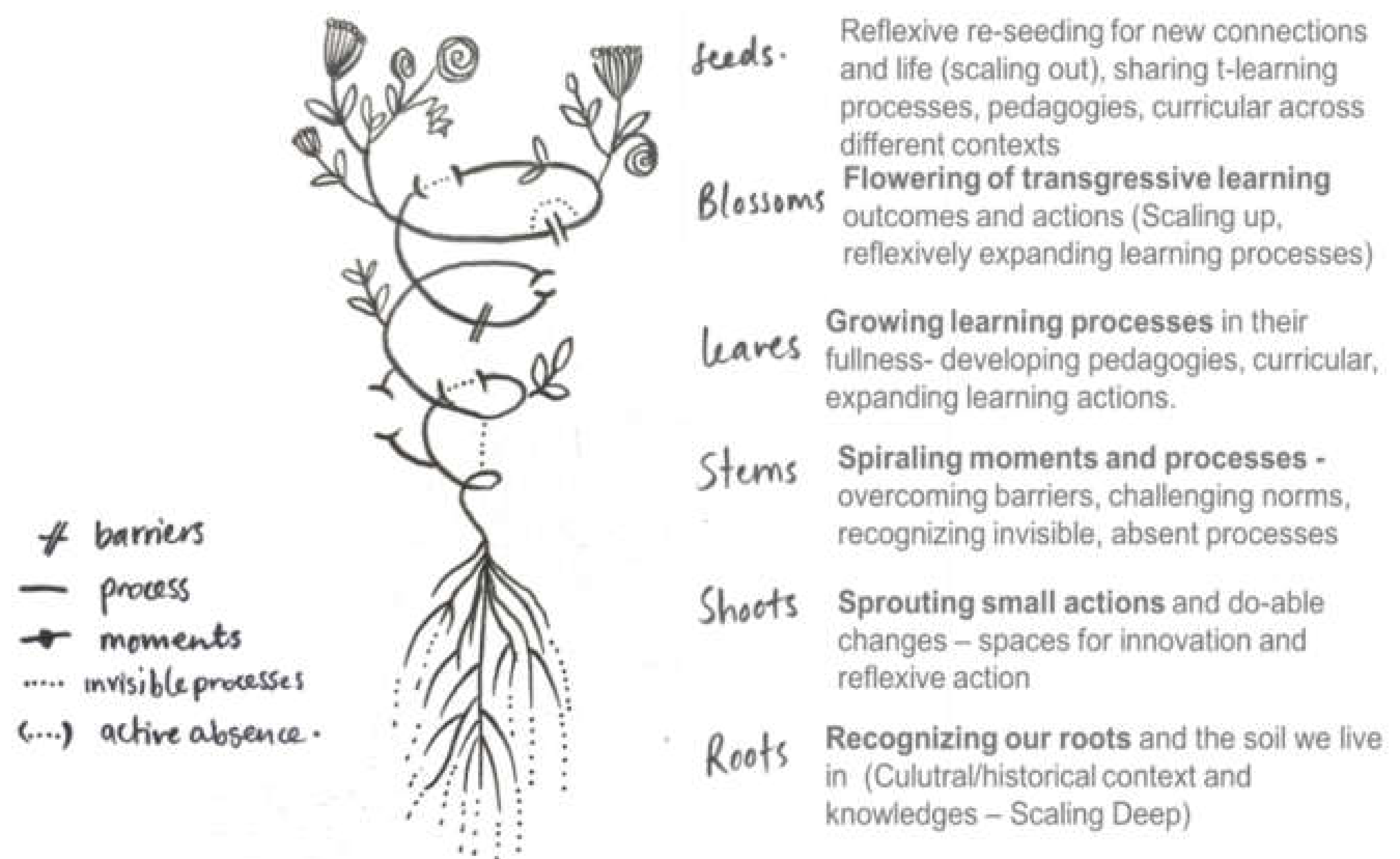 Sustainability 12 04873 g001