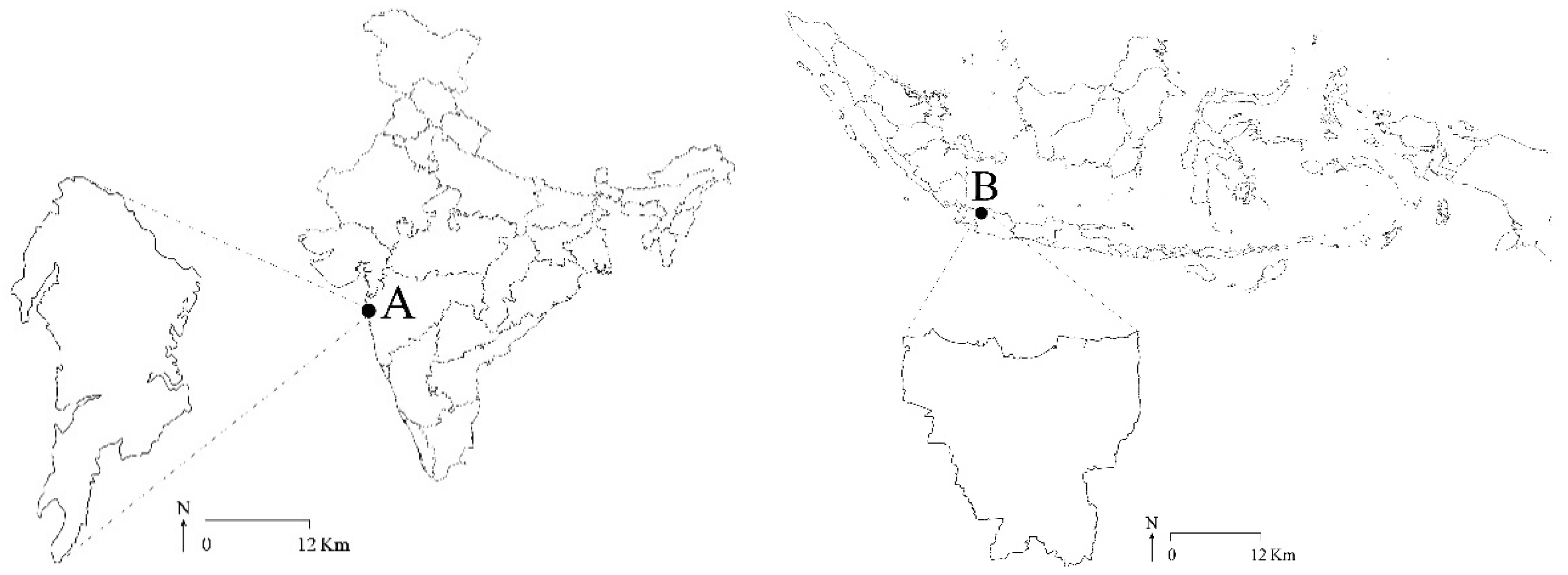 Sustainability 12 04982 g001