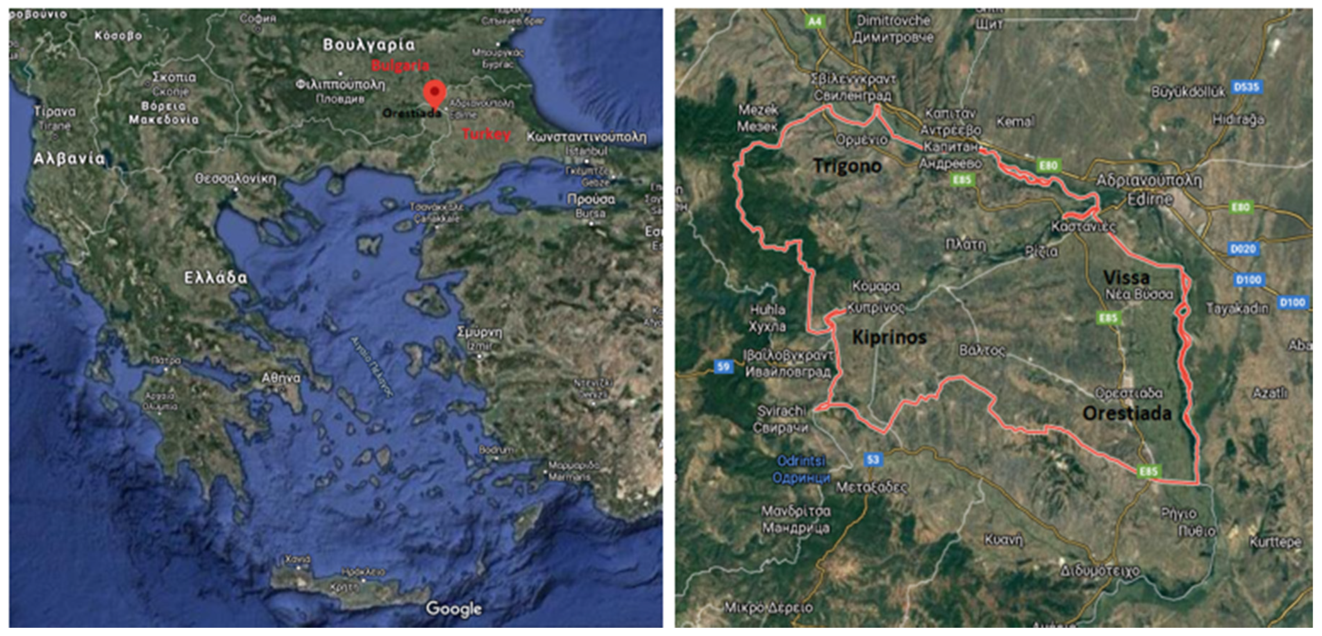 Sustainability 12 04984 g001