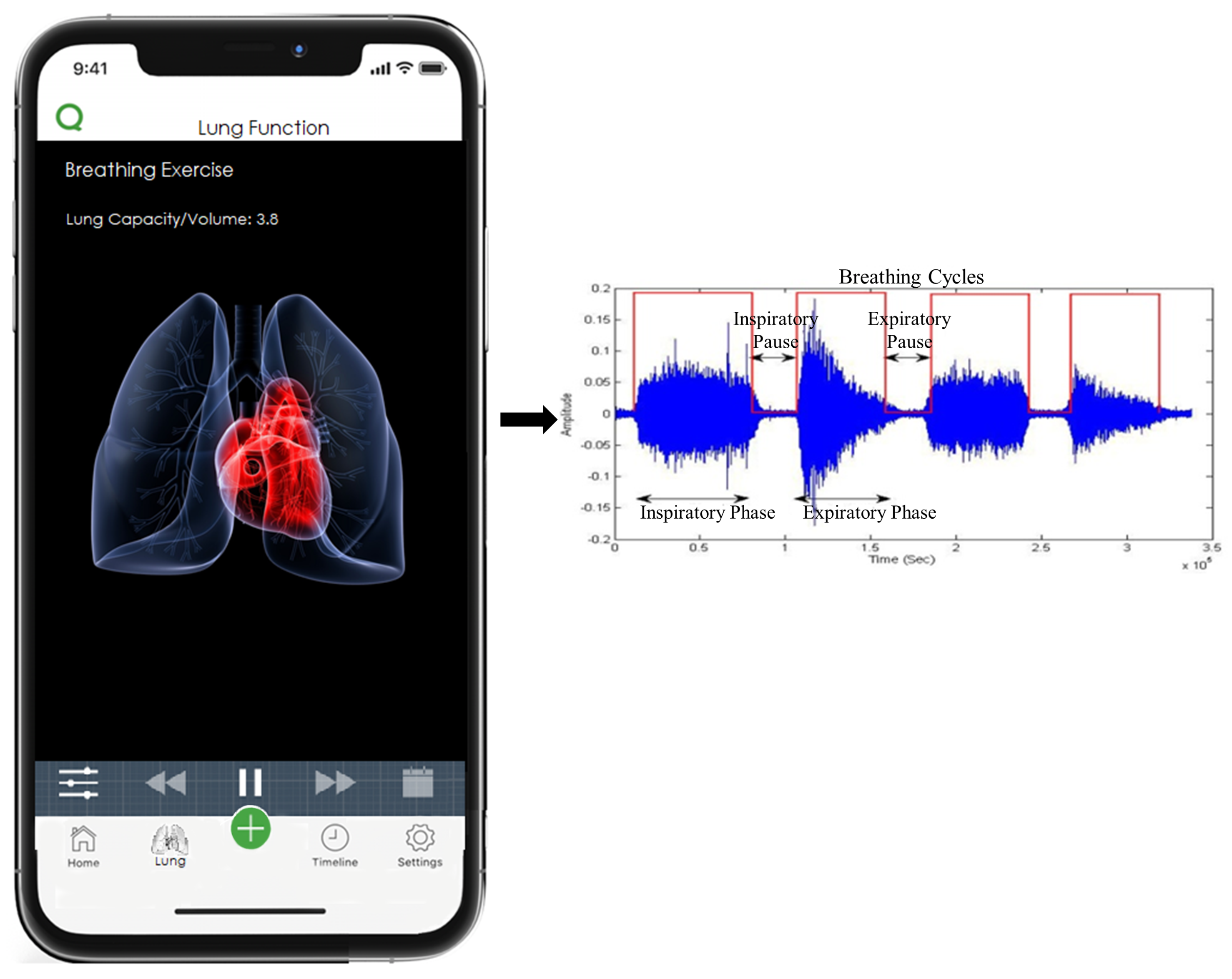 Sustainability 12 05061 g001