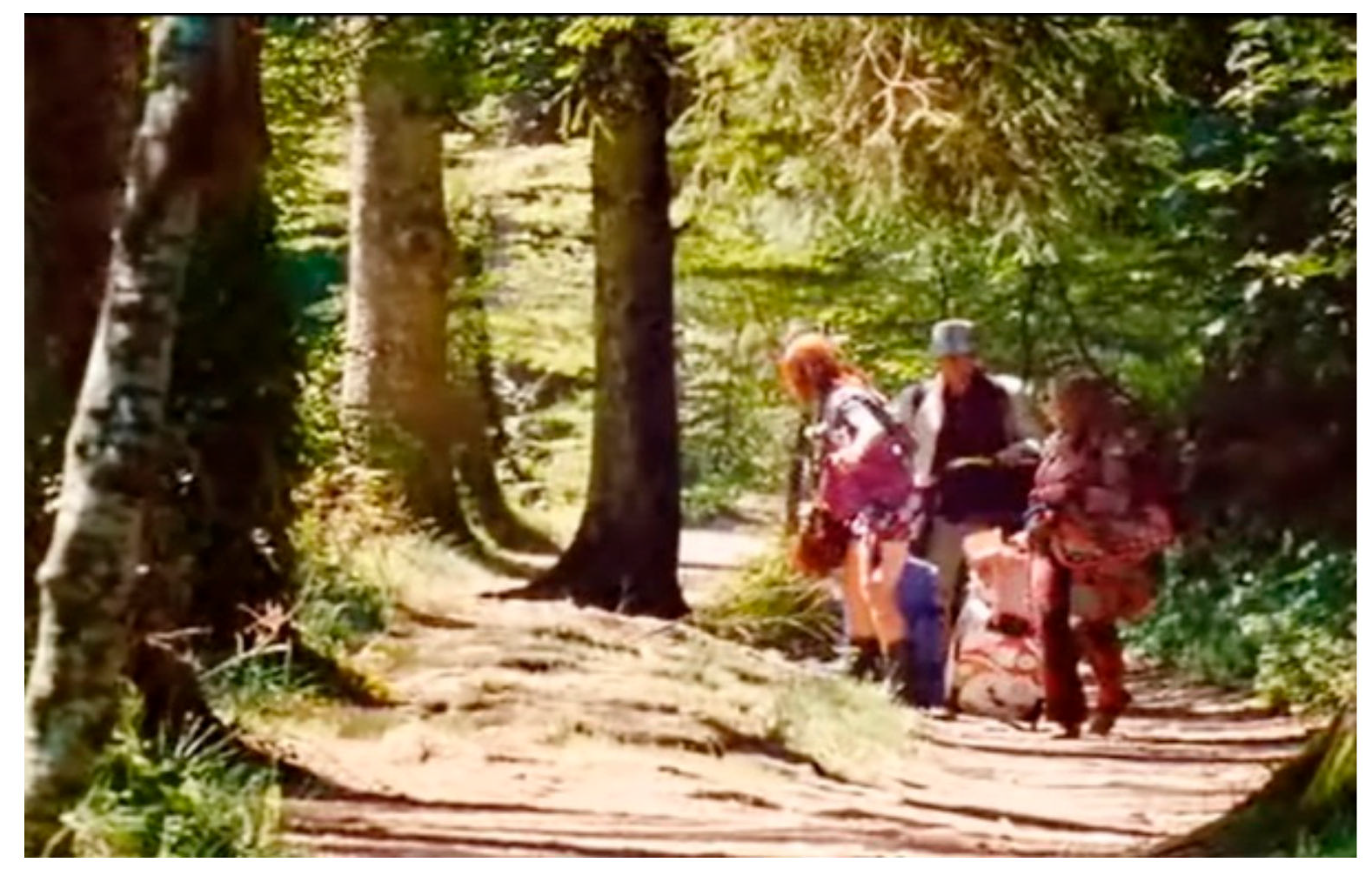 Sustainability 12 05080 g009